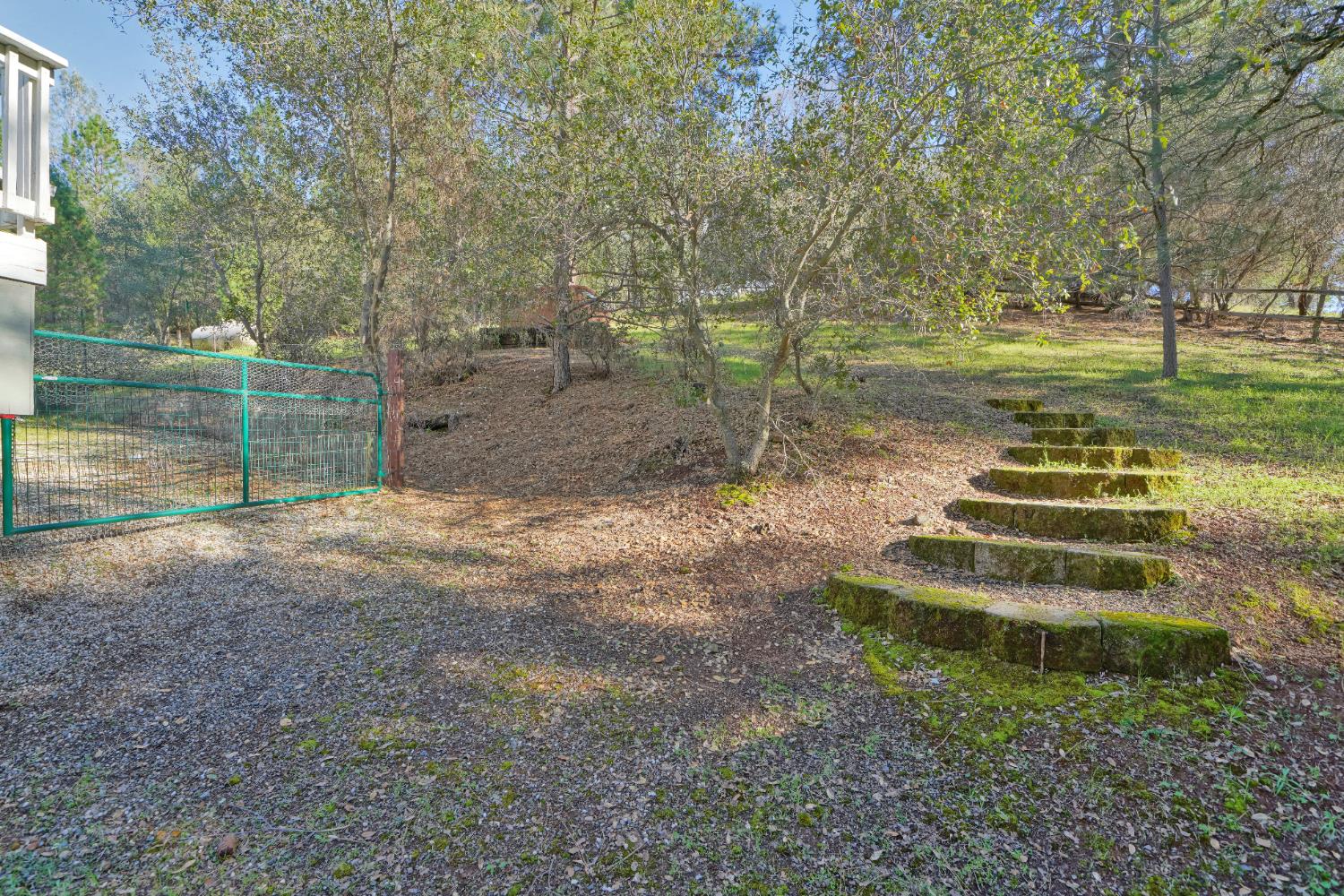 2869 Cascade Trail Cool, CA 95614 - Photo 68 of 80