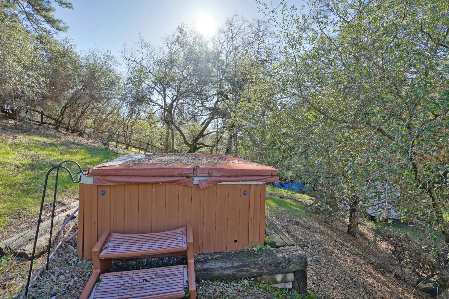 2869 Cascade Trail Cool, CA 95614 - Photo 69 of 80 a view of a backyard with small cabin