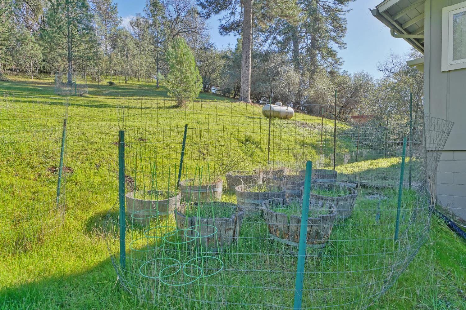 2869 Cascade Trail Cool, CA 95614 - Photo 71 of 80