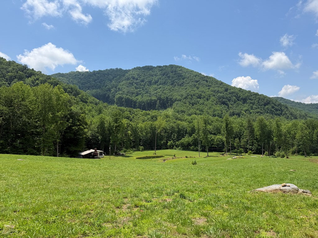 1446 Muskrat Creek Road Hayesville, NC 28904 - Photo 18 of 108