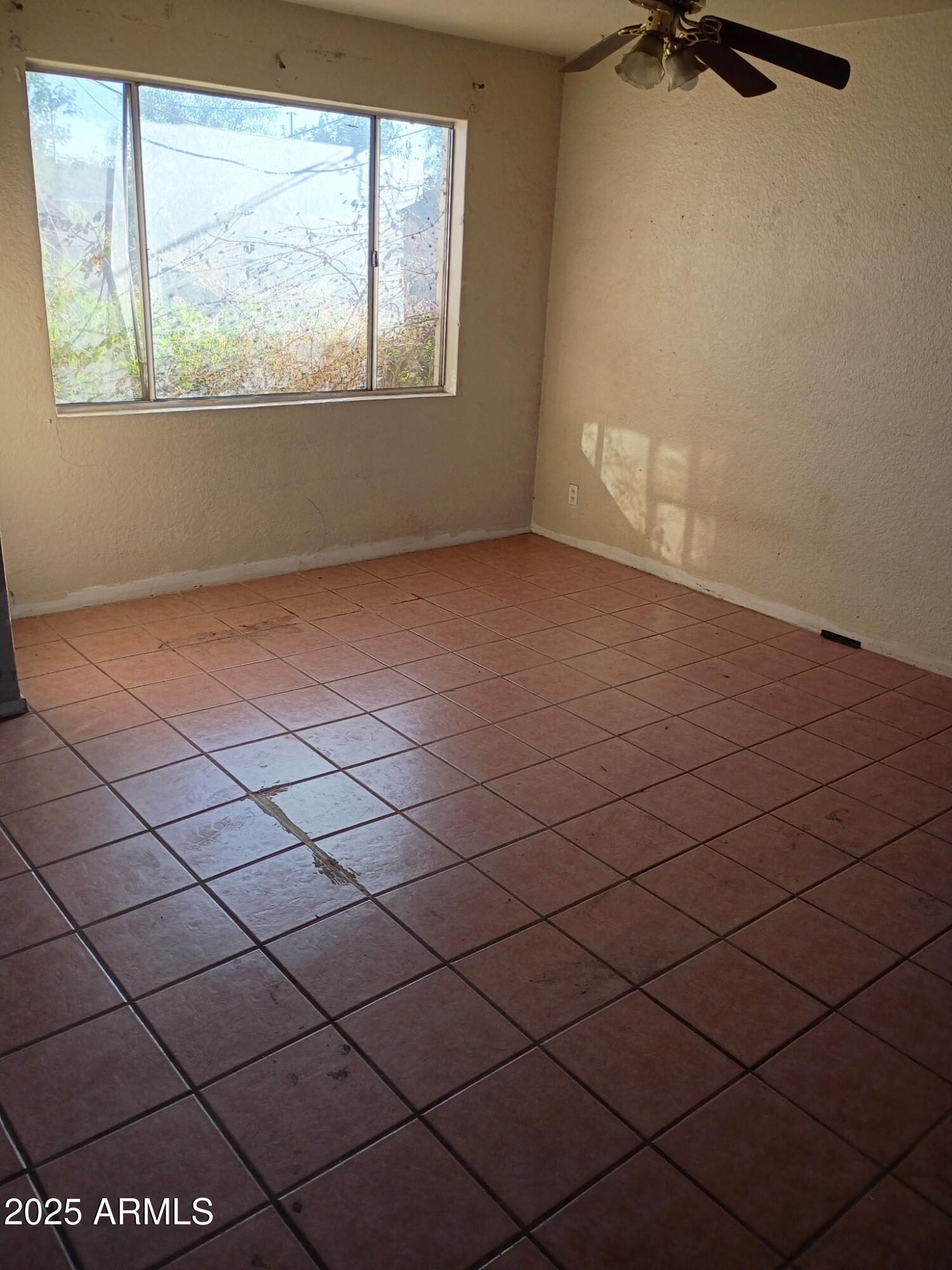 705 West 2nd Place Mesa, AZ 85201 - Photo 6 of 12 798694517910100321