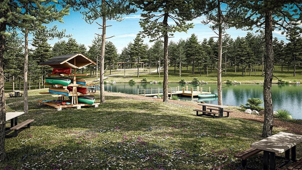 1040 Amerson Street Buckhead, GA 30625 - Photo 15 of 96