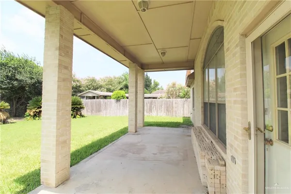 a view of a tree in a yard