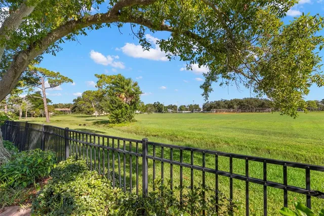 a view of a park with large trees