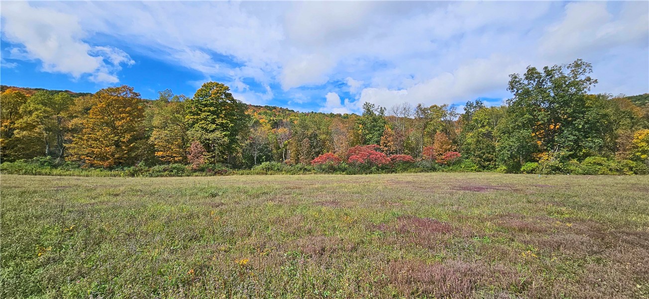 41 County Route Pulaski, NY 13142 - Photo 4 of 15 Back of property