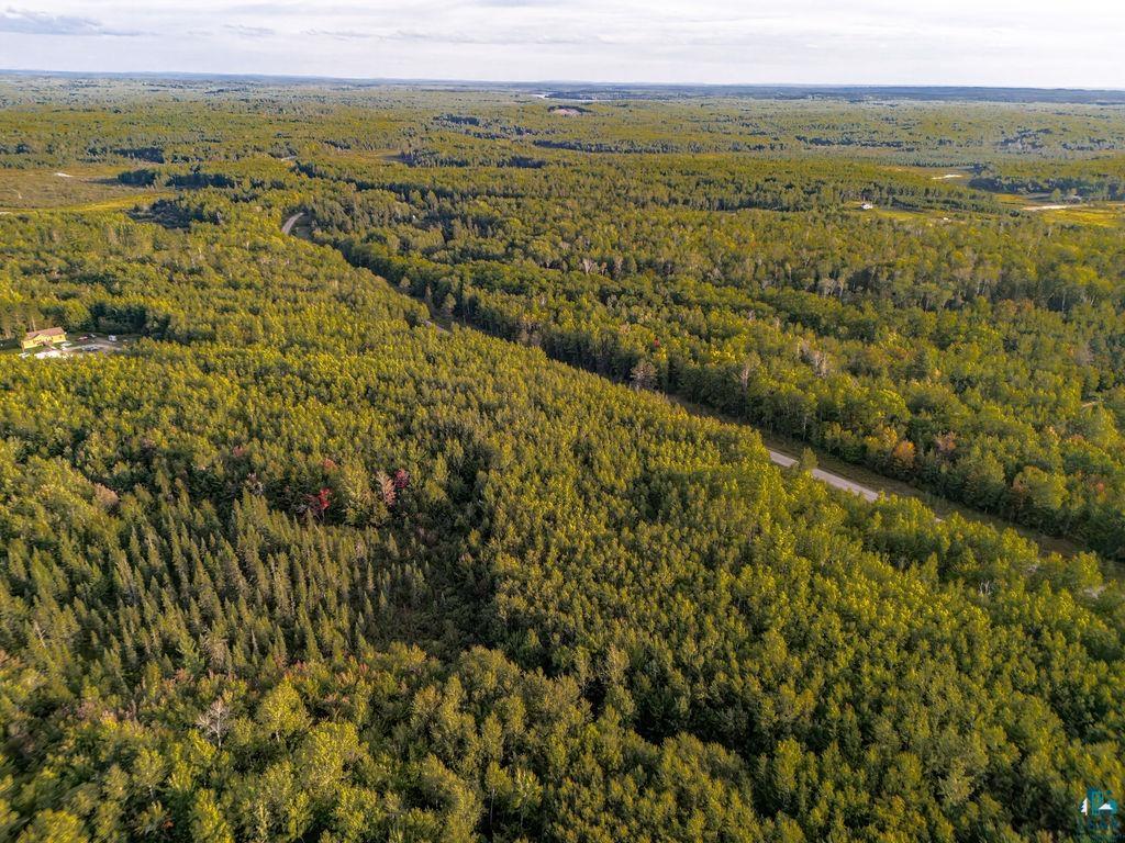 Tbd Crane Lake Road Orr, MN 55771 - Photo 10 of 10 Gallery Image 10