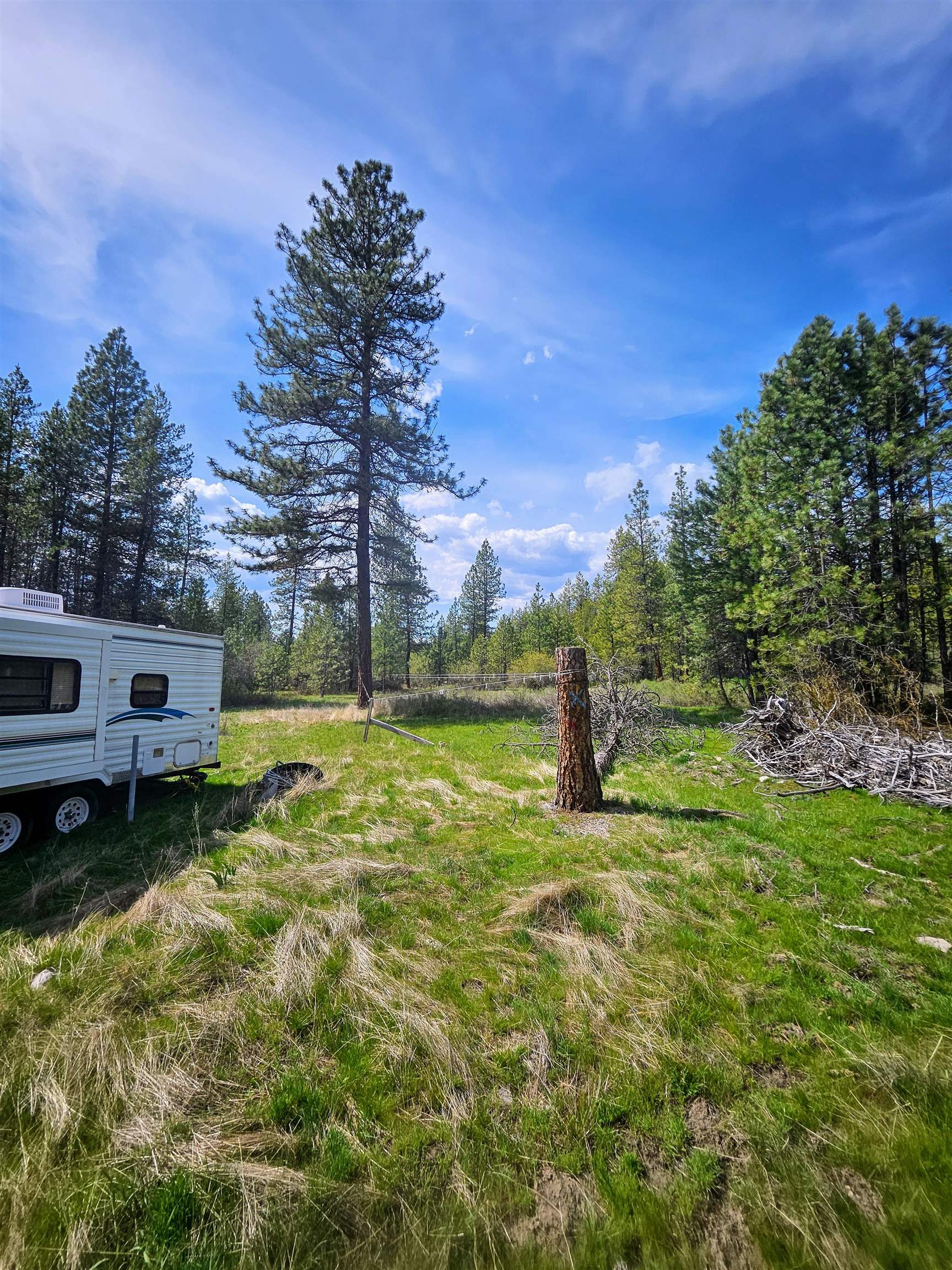 4464 Woods Way Springdale, WA 99173 - Photo 13 of 42