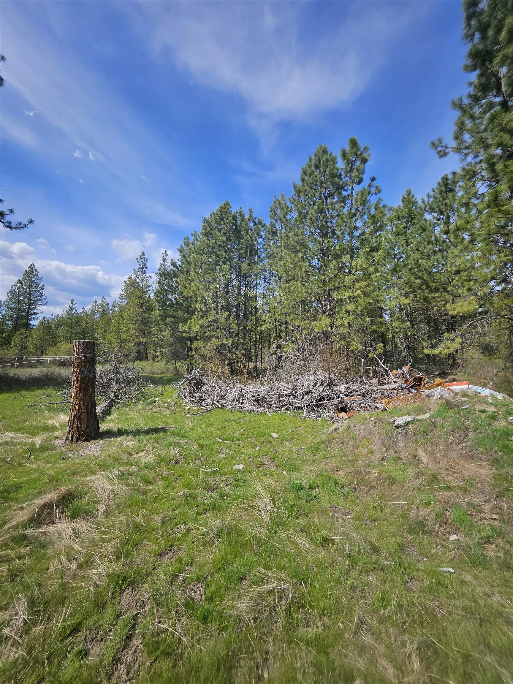 4464 Woods Way Springdale, WA 99173 - Photo 18 of 42