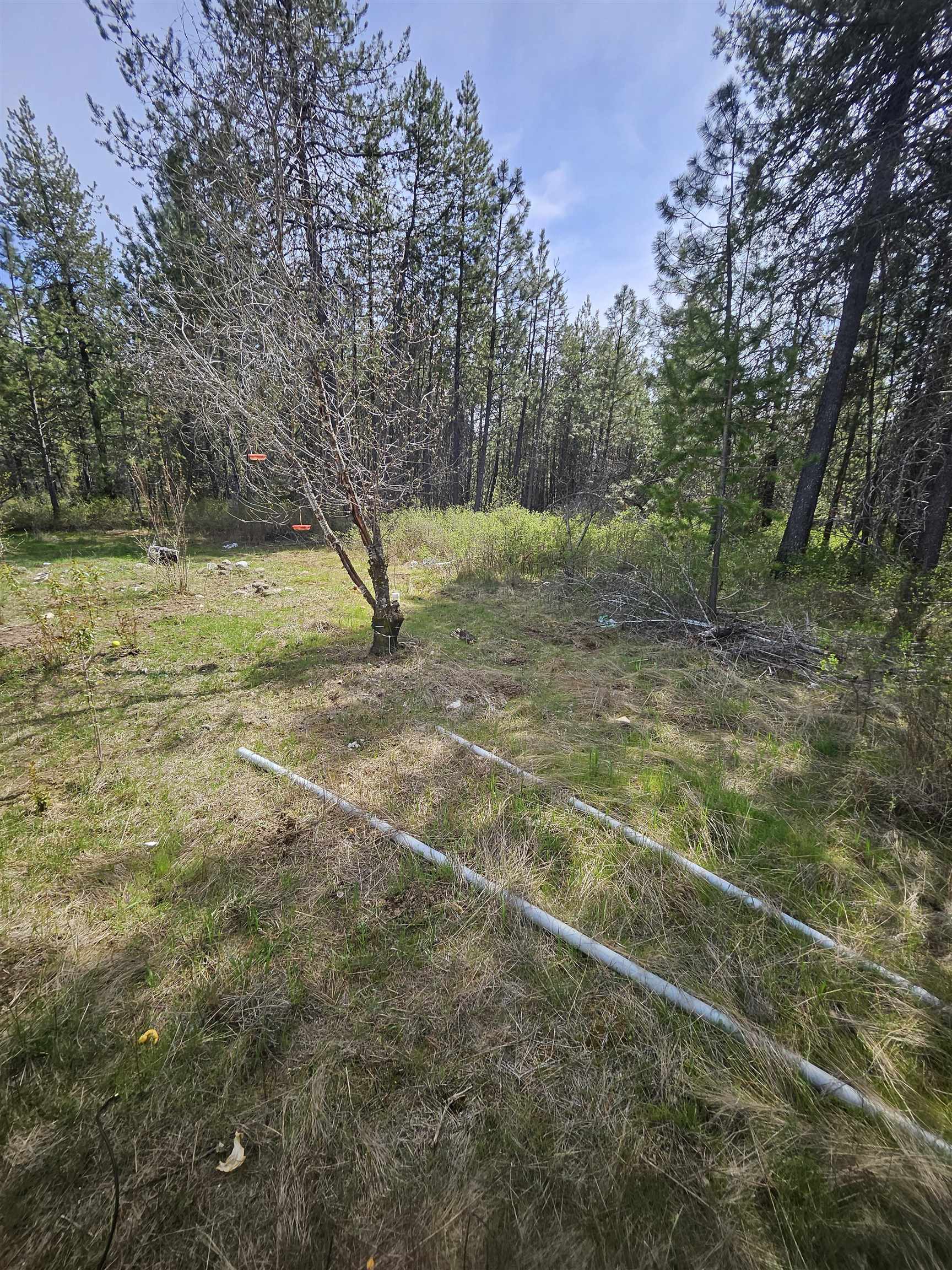 4464 Woods Way Springdale, WA 99173 - Photo 20 of 42