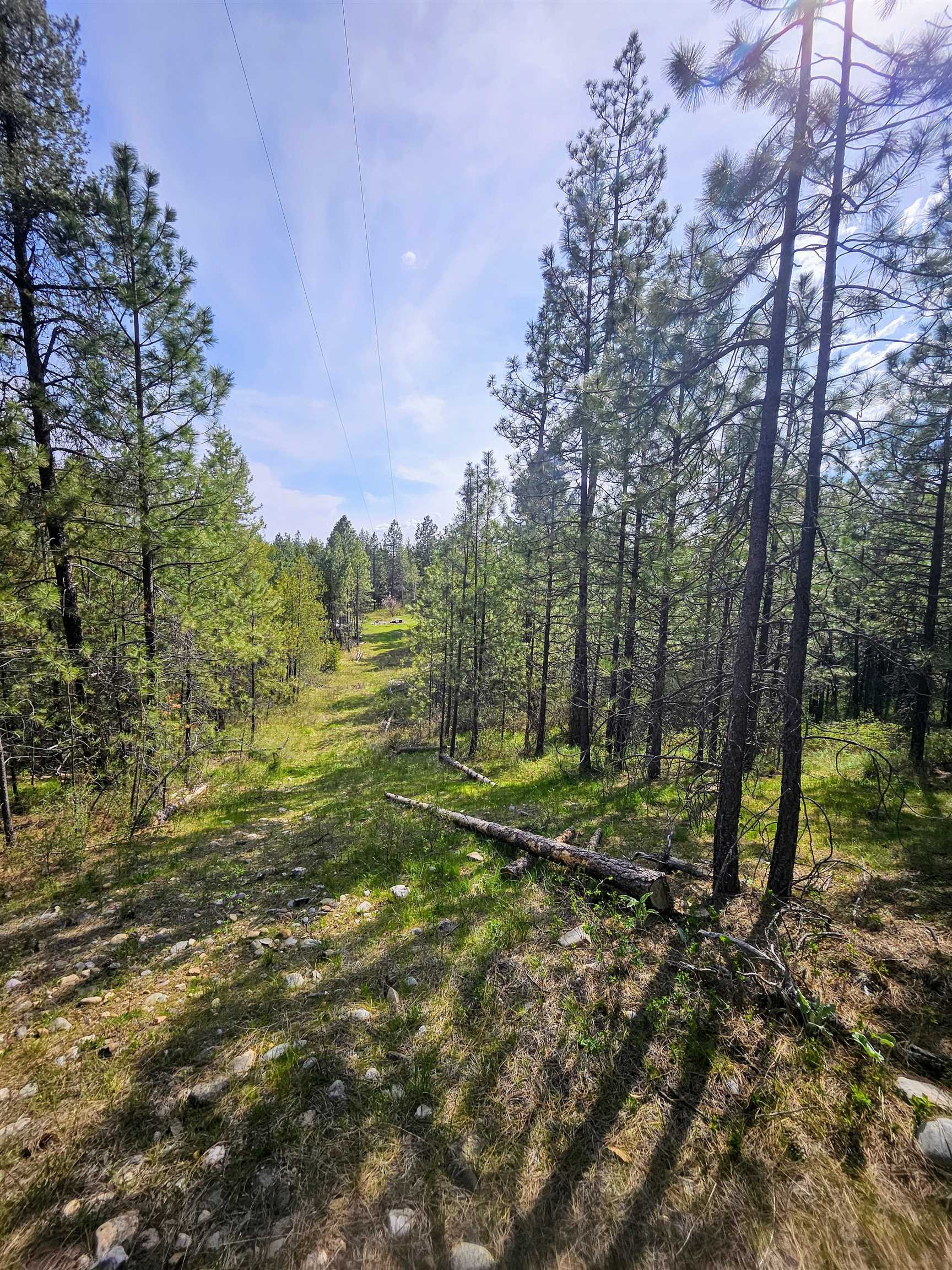 4464 Woods Way Springdale, WA 99173 - Photo 22 of 42