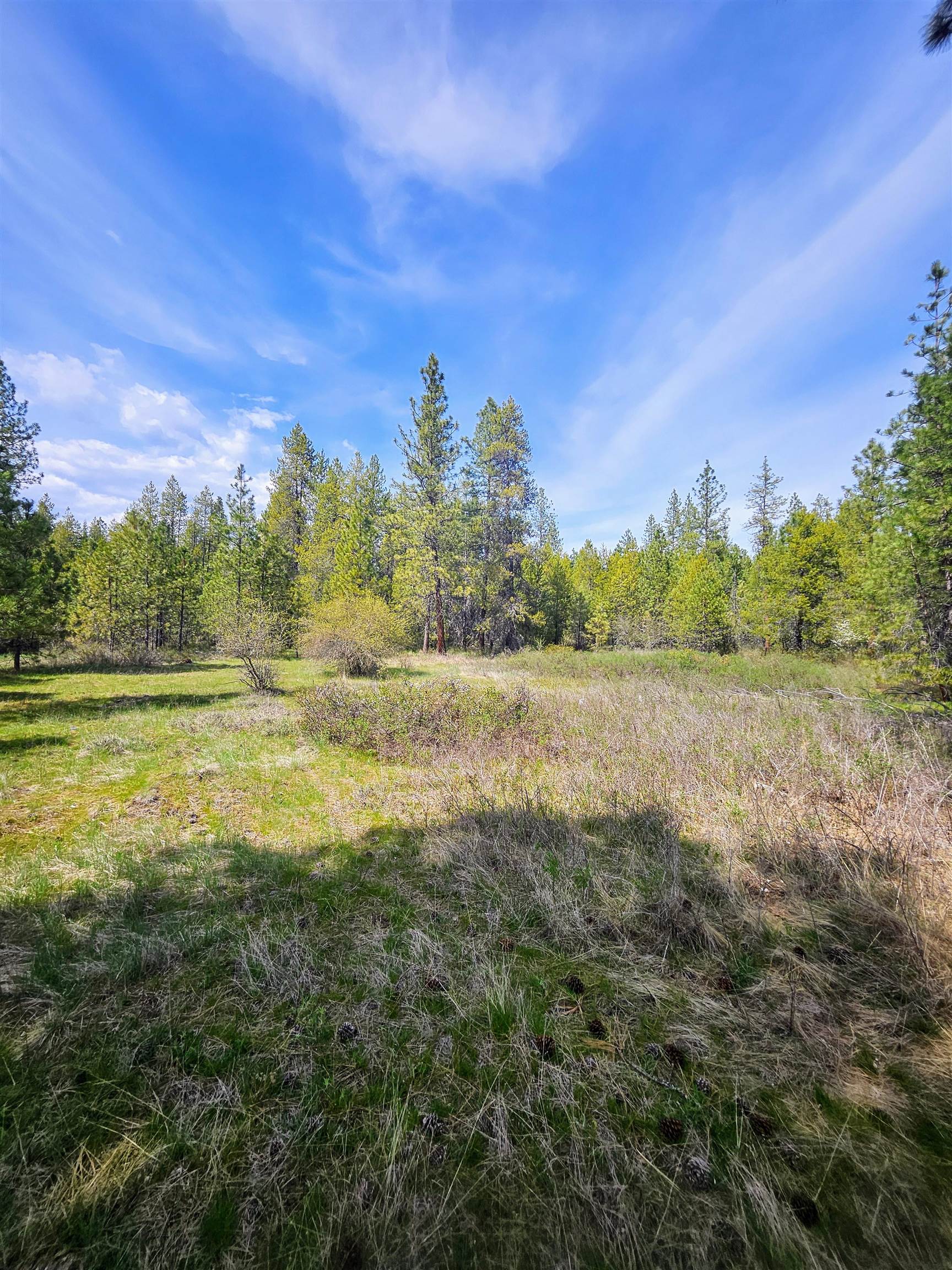 4464 Woods Way Springdale, WA 99173 - Photo 26 of 42