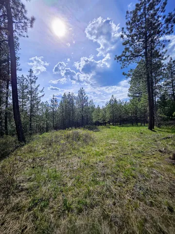 $175,000 | 4464 Woods Way, Springdale, WA 99173