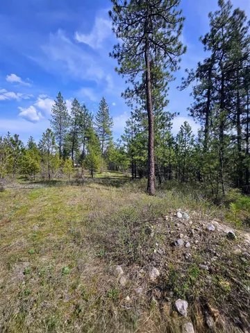 $175,000 | 4464 Woods Way, Springdale, WA 99173