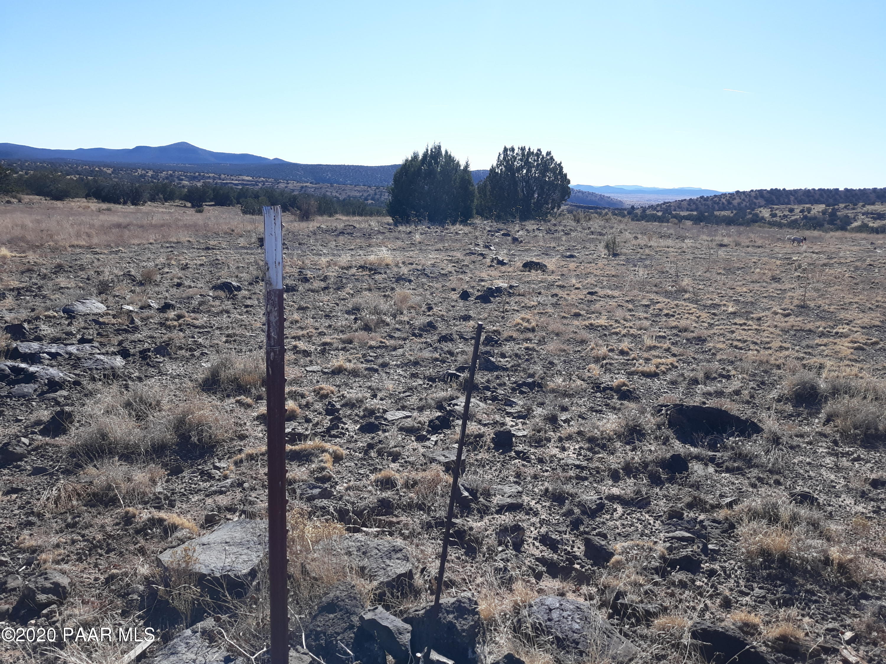 Lot 37-38 Juniperwood Ranch Seligman, AZ 86337 - Photo 8 of 12 20201219_125650