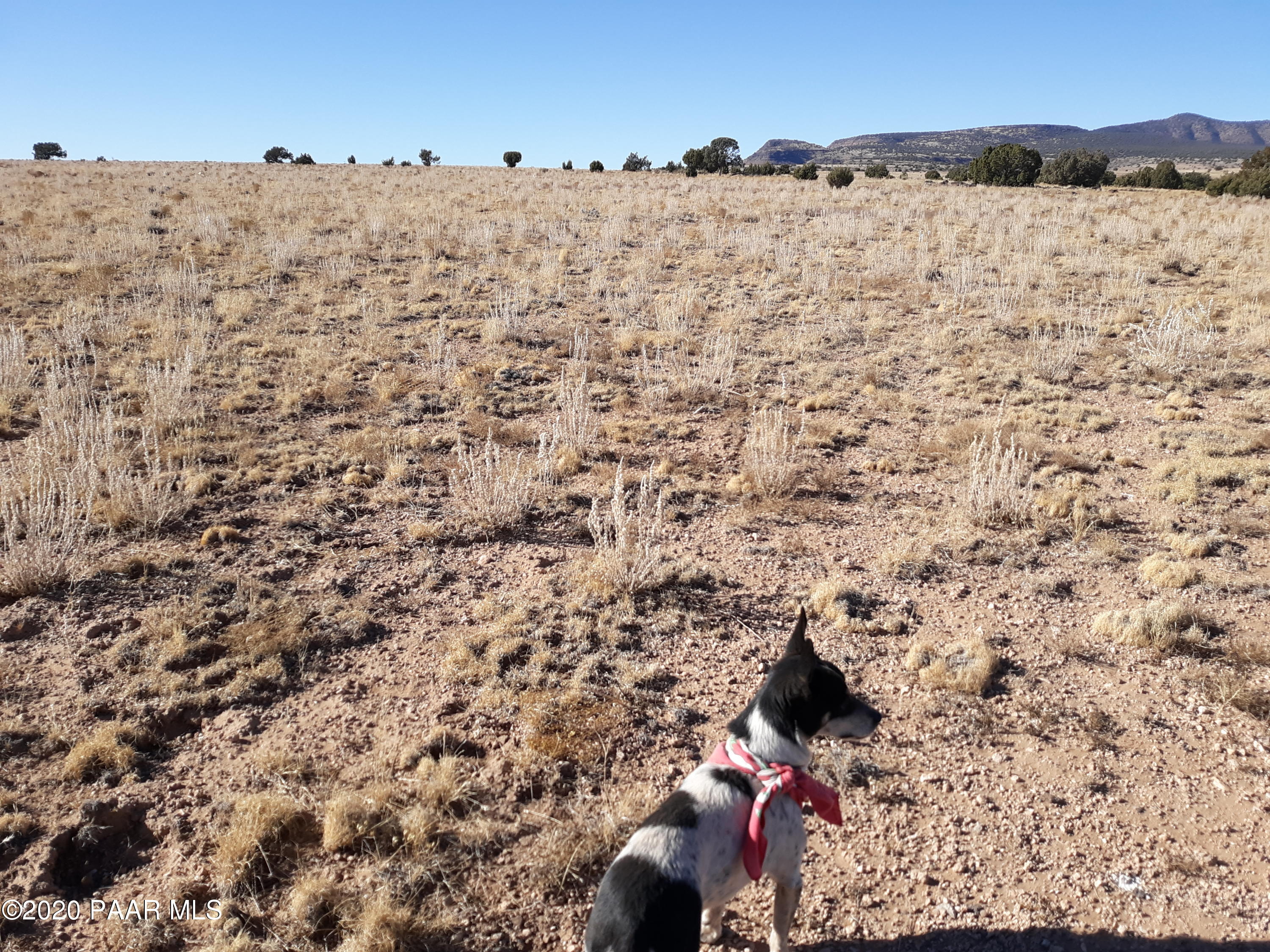 Lot 37-38 Juniperwood Ranch Seligman, AZ 86337 - Photo 9 of 12 20201219_132946