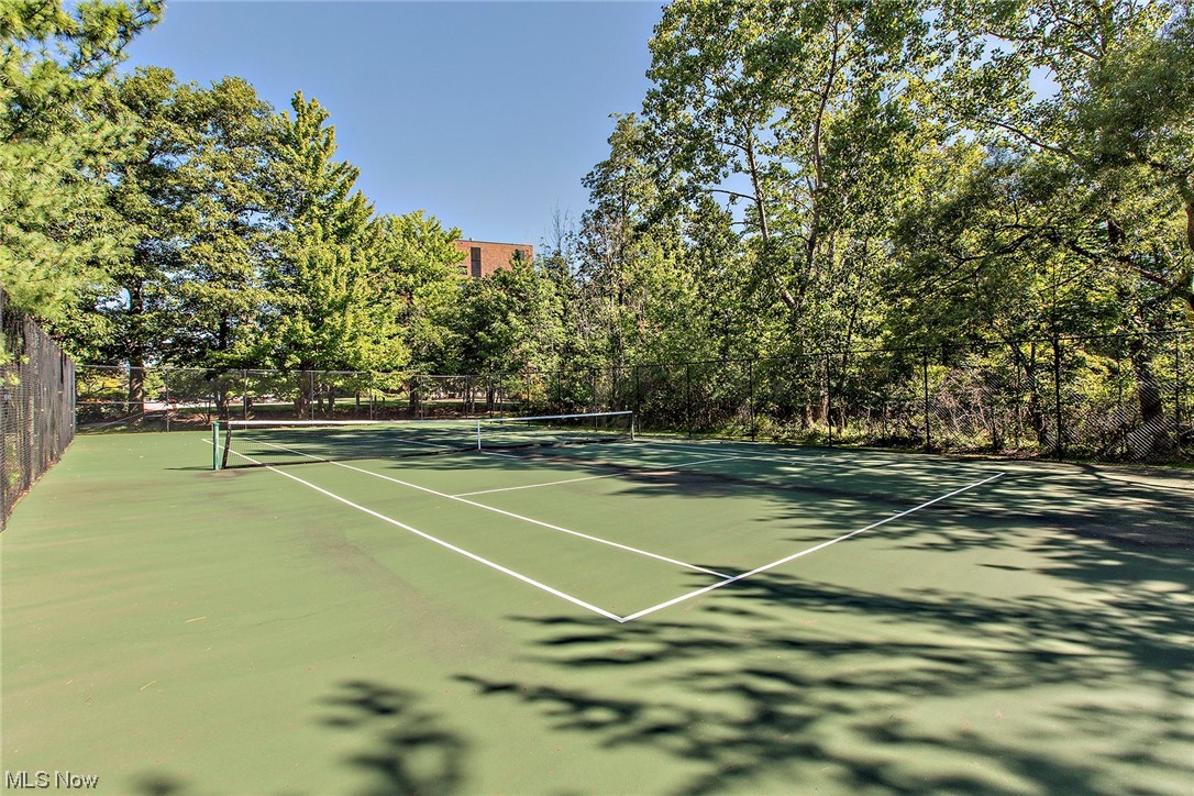 27500 Cedar Road, Unit 608 Beachwood, OH 44122 - Photo 30 of 34 Tennis courts.