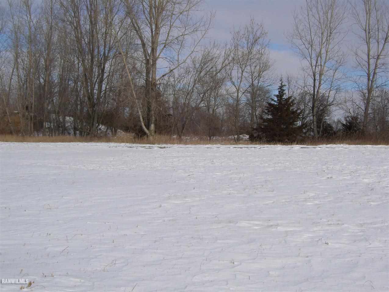 Tbd South River Road Galena, IL 61036 - Photo 3 of 5 a view of snow