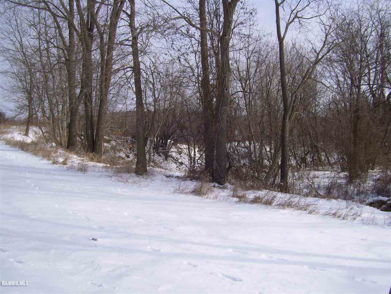 Tbd South River Road Galena, IL 61036 - Photo 4 of 5 a view of snow on the road