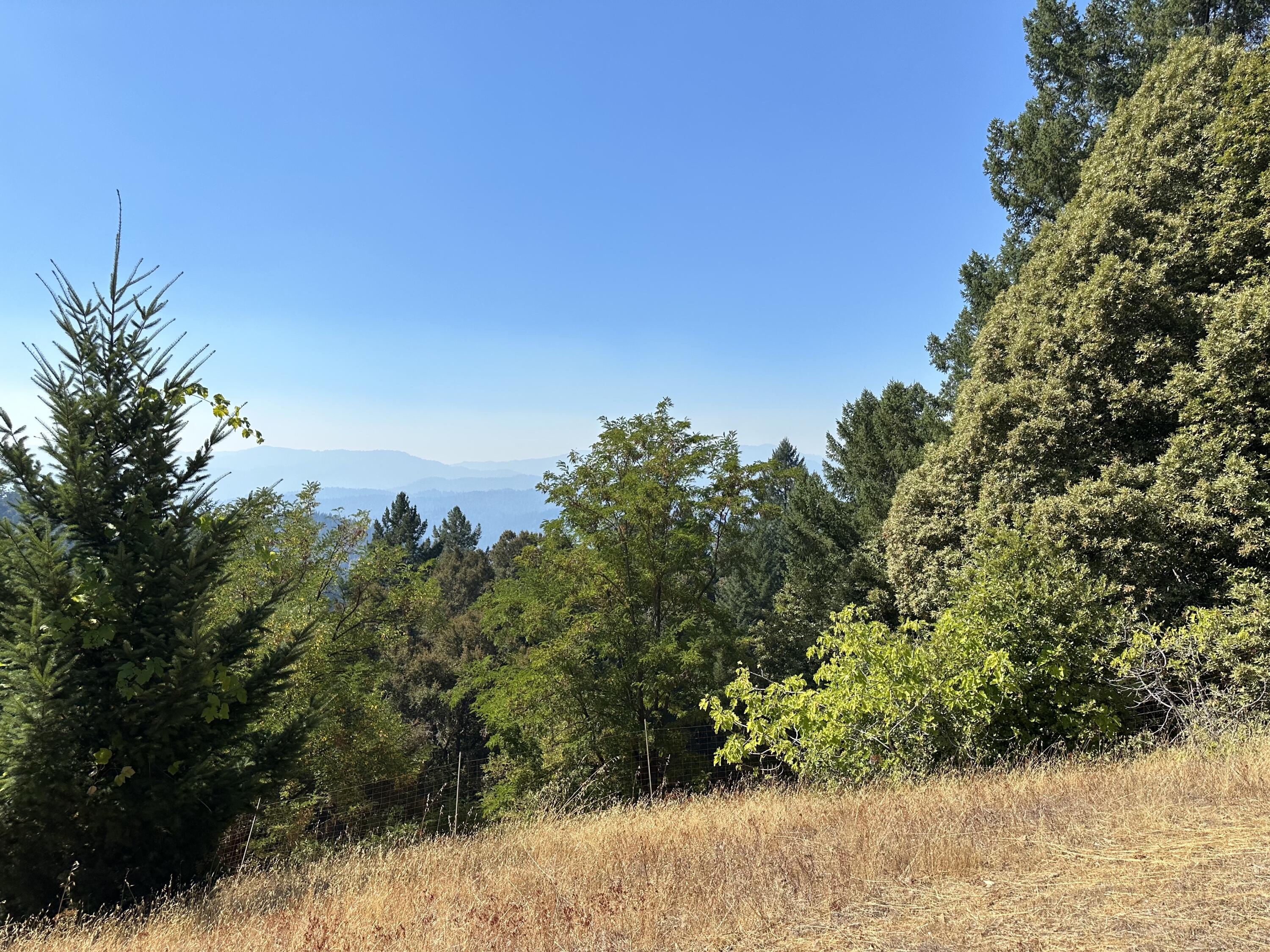 4840 Doody Ridge Road Garberville, CA 95542 - Photo 70 of 80