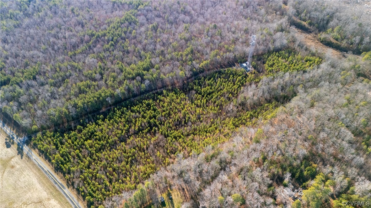 0 Olivet Church Road New Kent, VA 23124 - Photo 3 of 9 Gallery Image 3