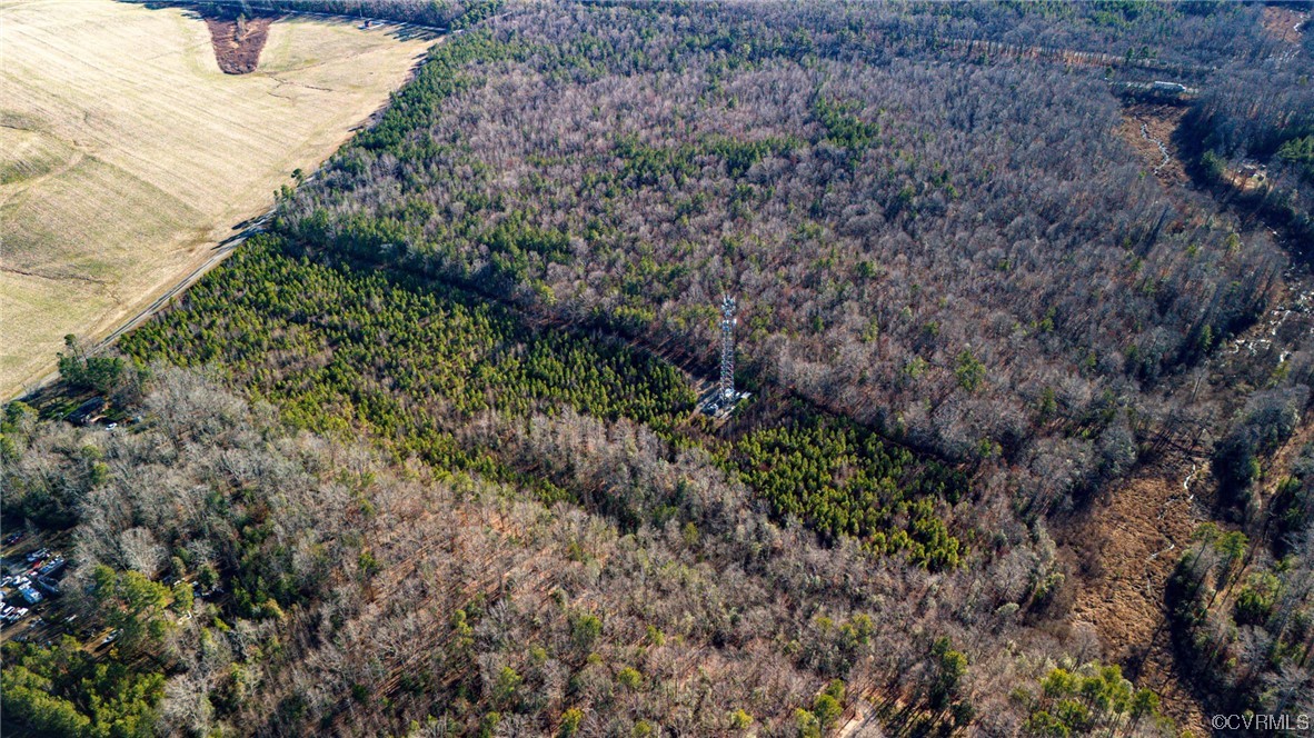 0 Olivet Church Road New Kent, VA 23124 - Photo 4 of 9 Gallery Image 4