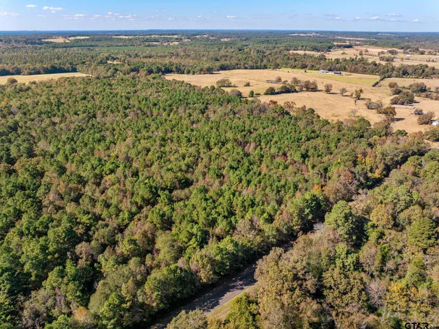 an aerial view of a houses with a yard