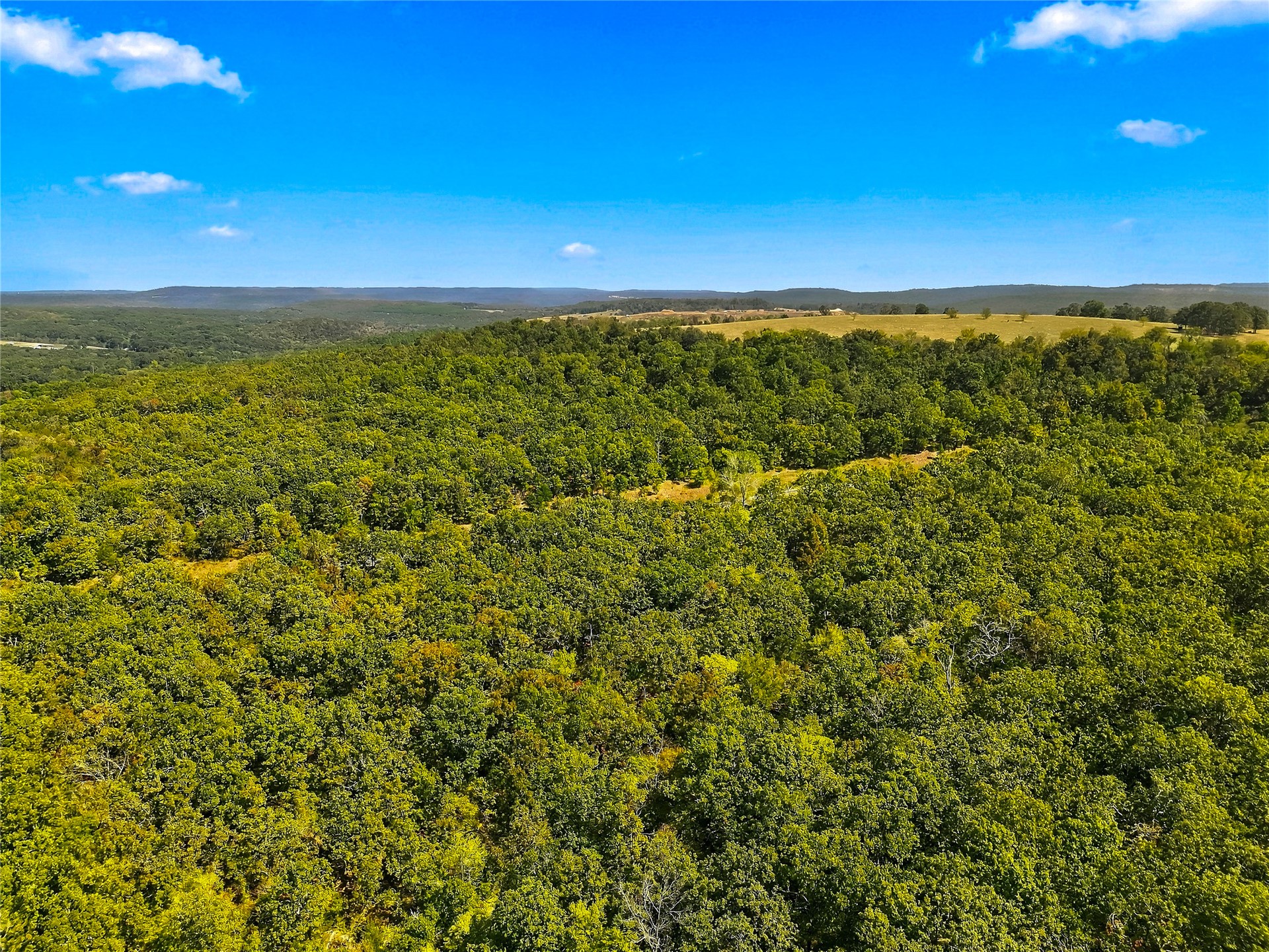 90333 South 4697 Road Stilwell, OK 74960 - Photo 19 of 26 Expansive natural landscape with dense tree coverage