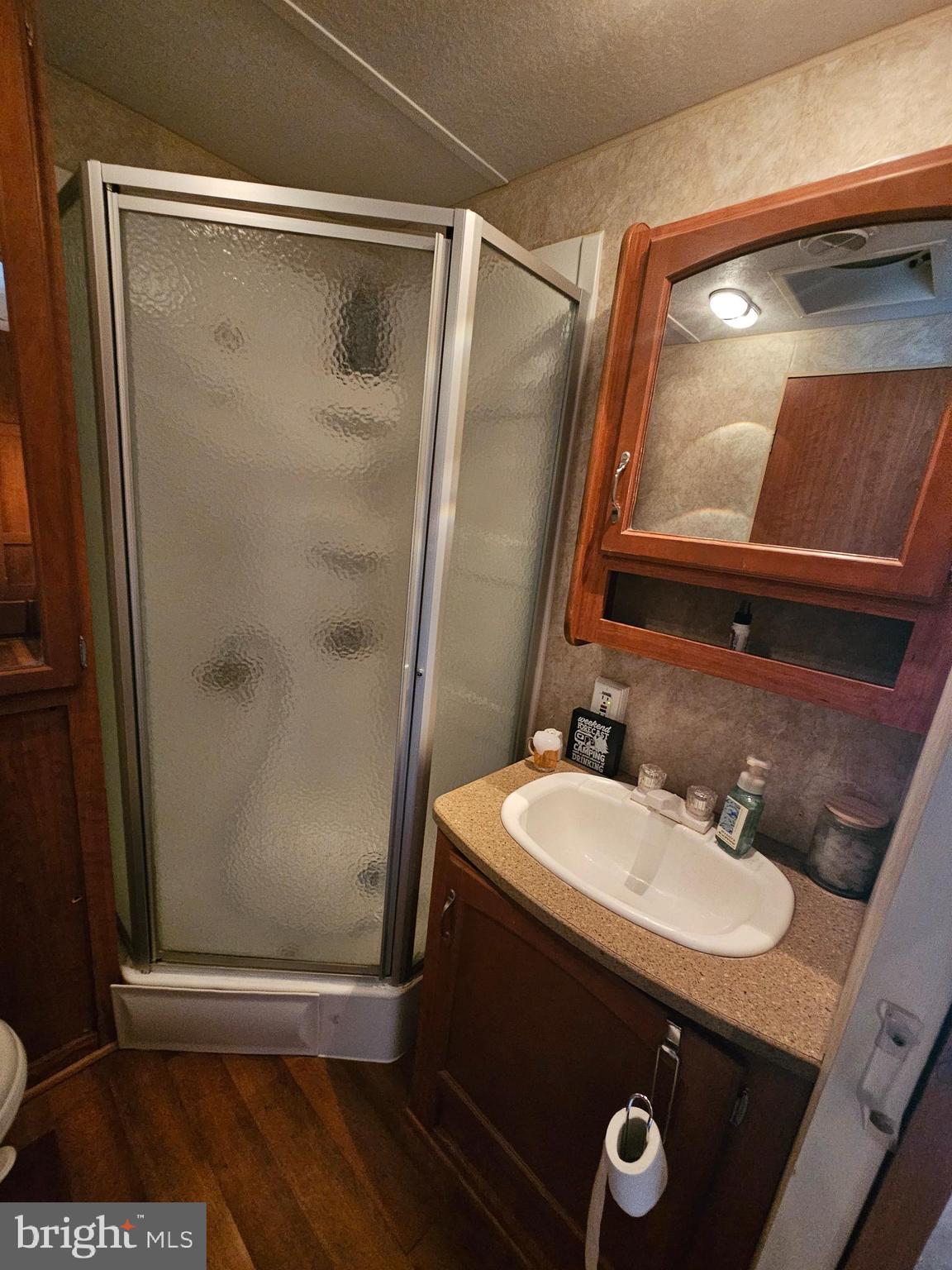 8 Cindy Avenue Falling Waters, WV 25419 - Photo 20 of 32 a bathroom with a sink a mirror and a shower