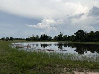 1240 Crooked Road Cat Spring, TX 78933 - Photo 19 of 20 a view of a lake