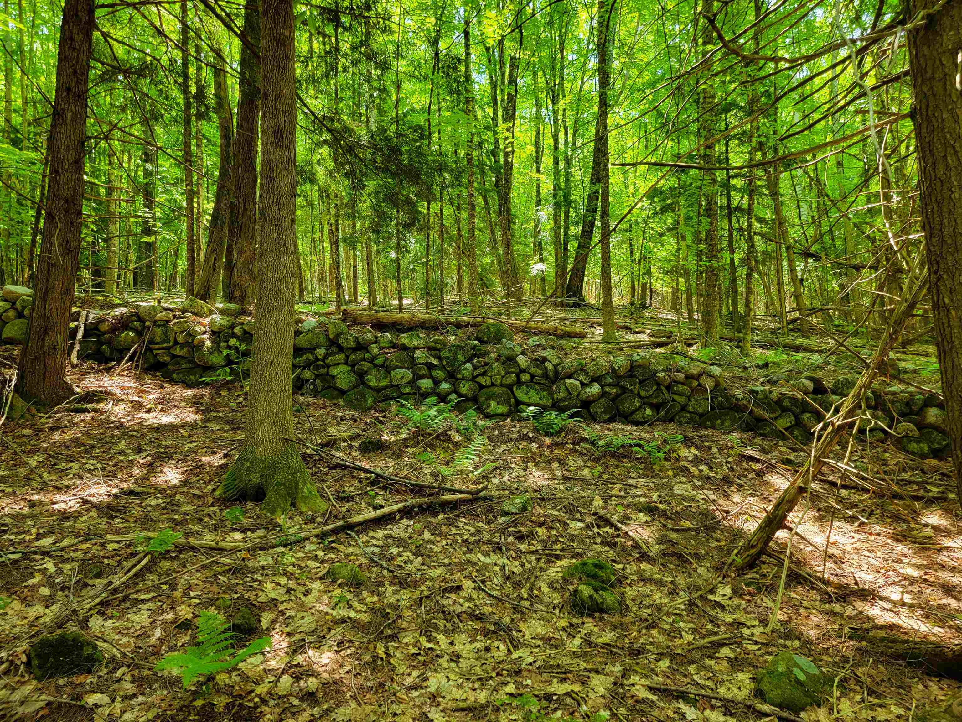 84 Hemp Hill Road Bristol, NH 03222 - Photo 11 of 40