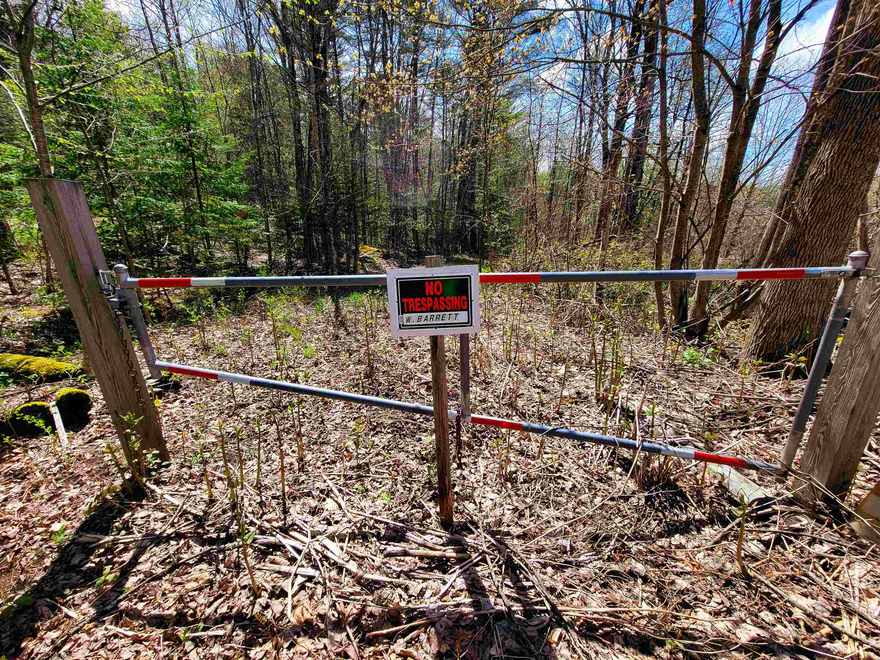 84 Hemp Hill Road Bristol, NH 03222 - Photo 12 of 40