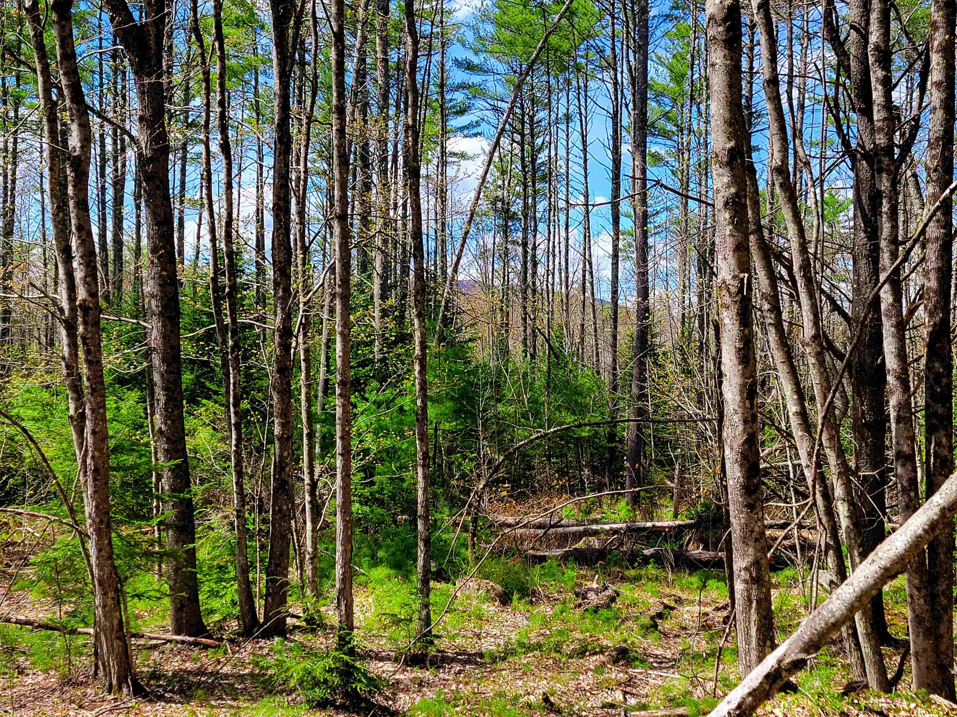 84 Hemp Hill Road Bristol, NH 03222 - Photo 13 of 40