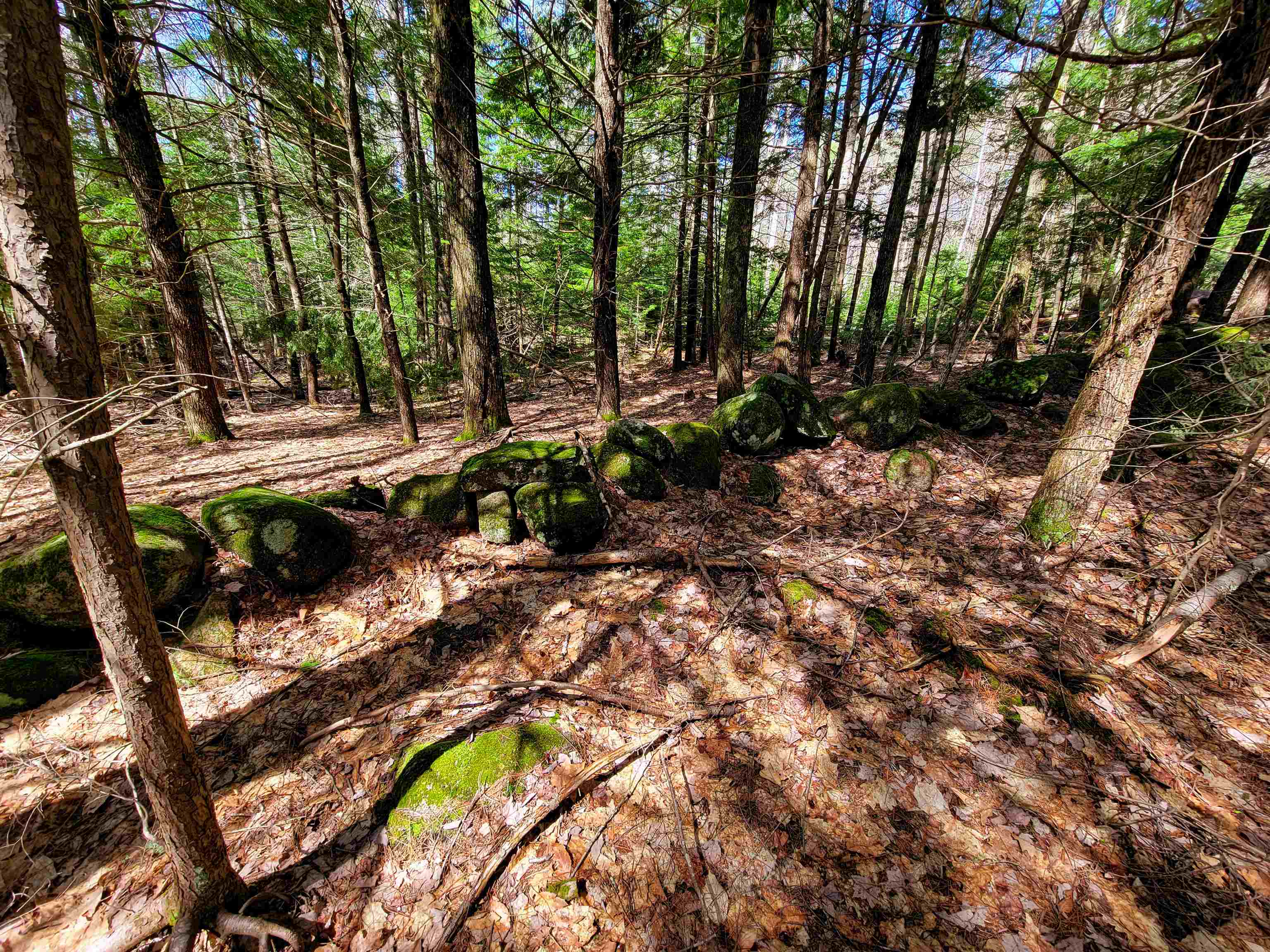 84 Hemp Hill Road Bristol, NH 03222 - Photo 14 of 40