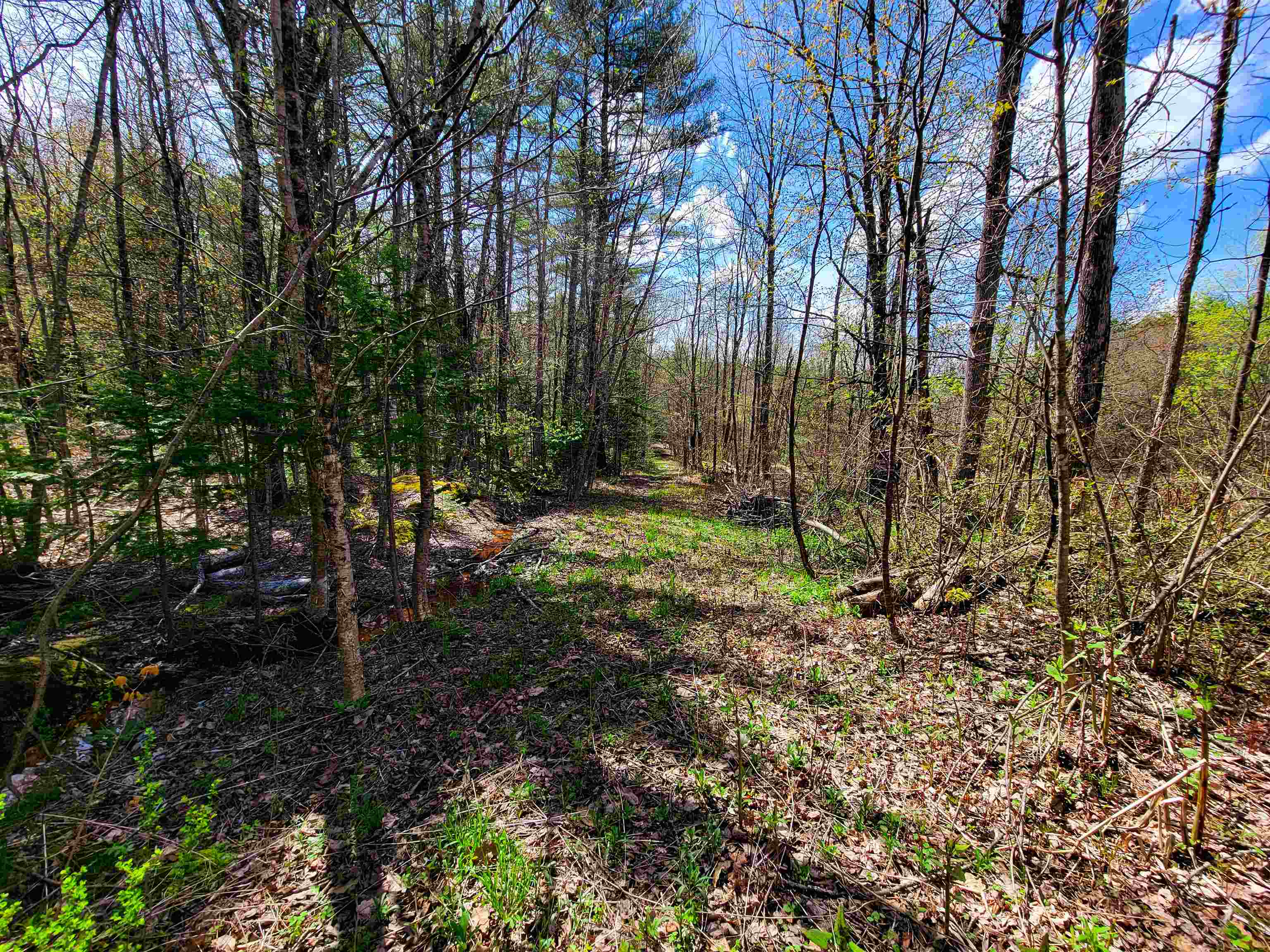 84 Hemp Hill Road Bristol, NH 03222 - Photo 15 of 40