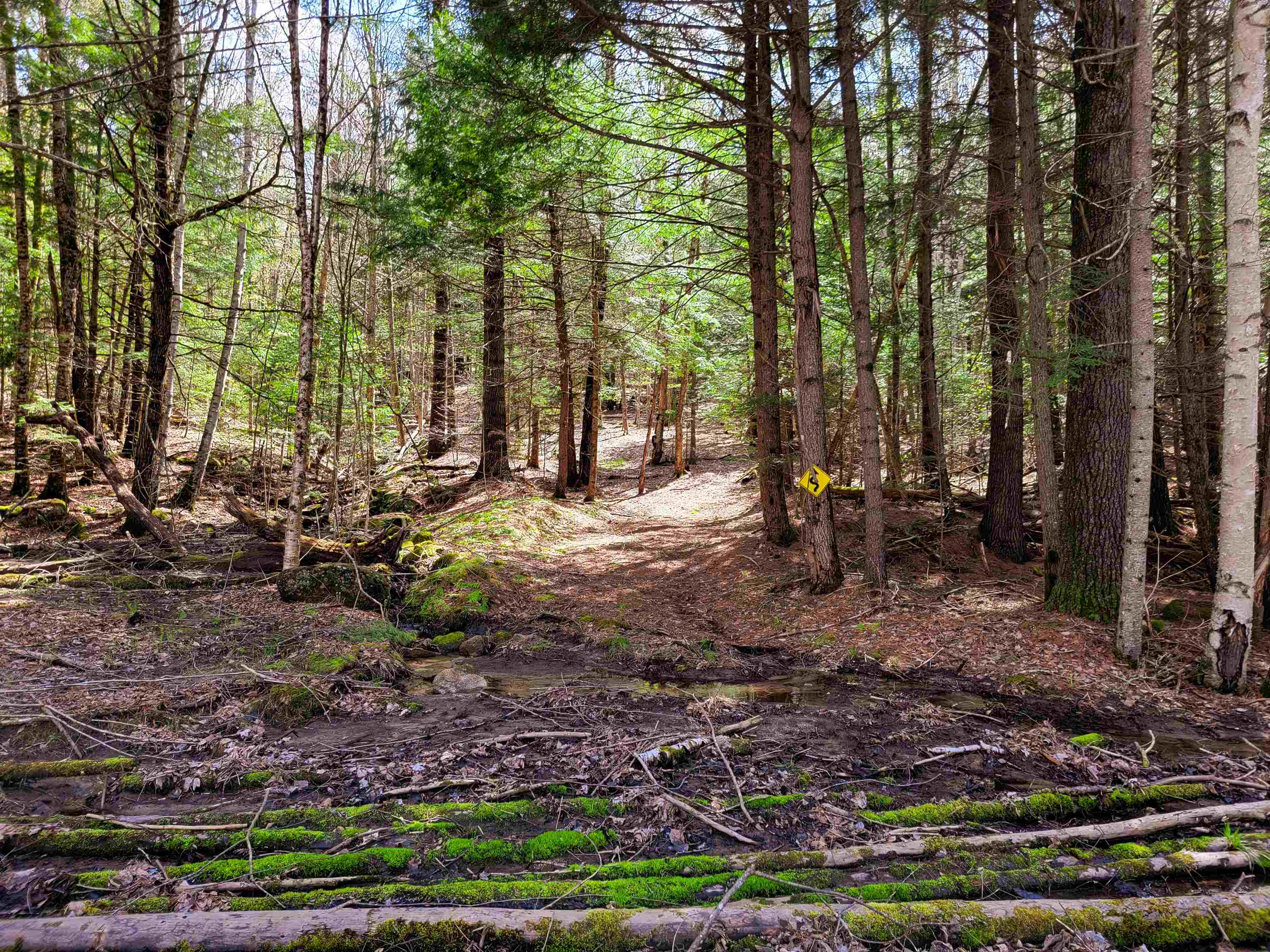 84 Hemp Hill Road Bristol, NH 03222 - Photo 16 of 40