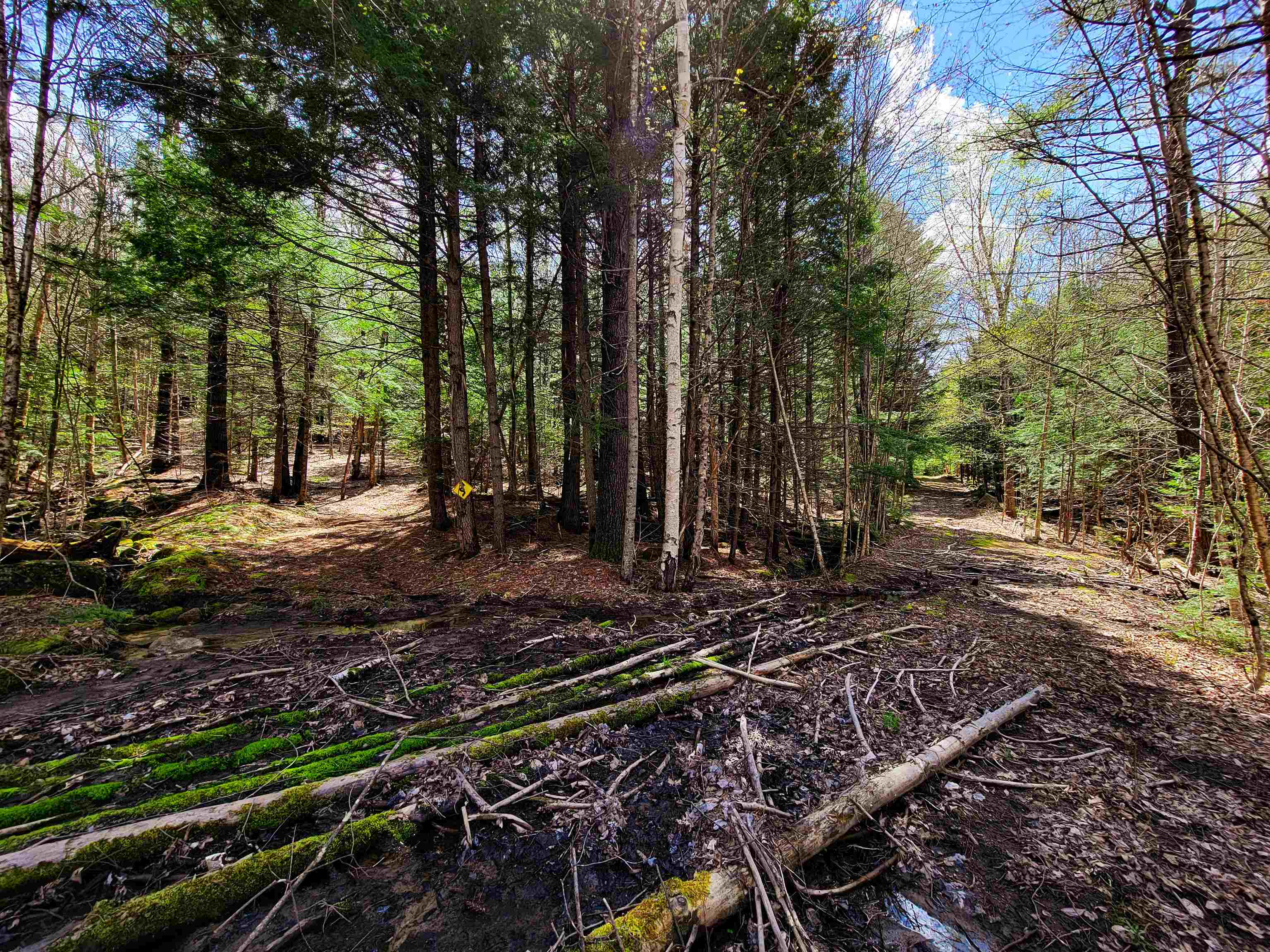 84 Hemp Hill Road Bristol, NH 03222 - Photo 17 of 40