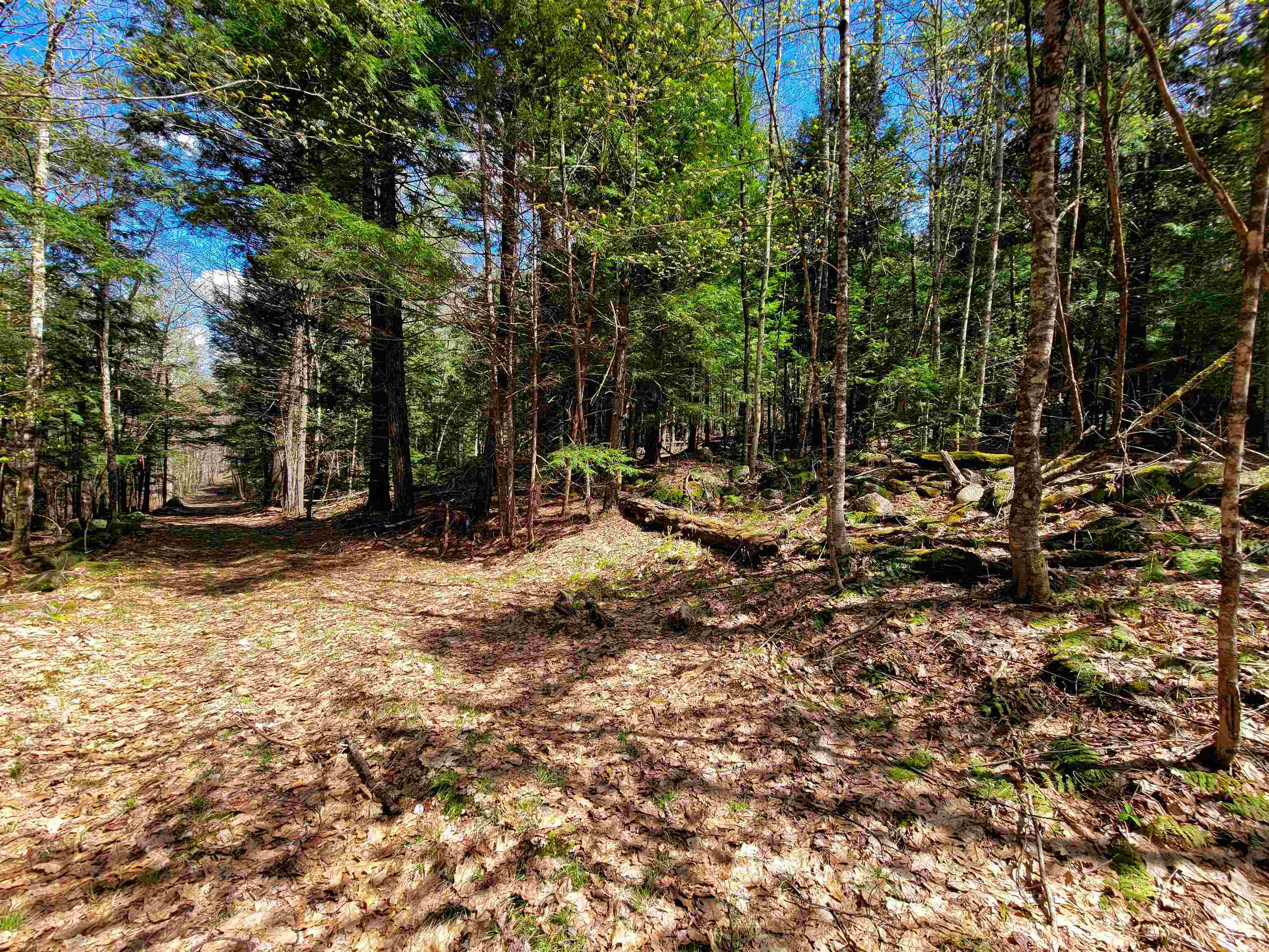 84 Hemp Hill Road Bristol, NH 03222 - Photo 18 of 40