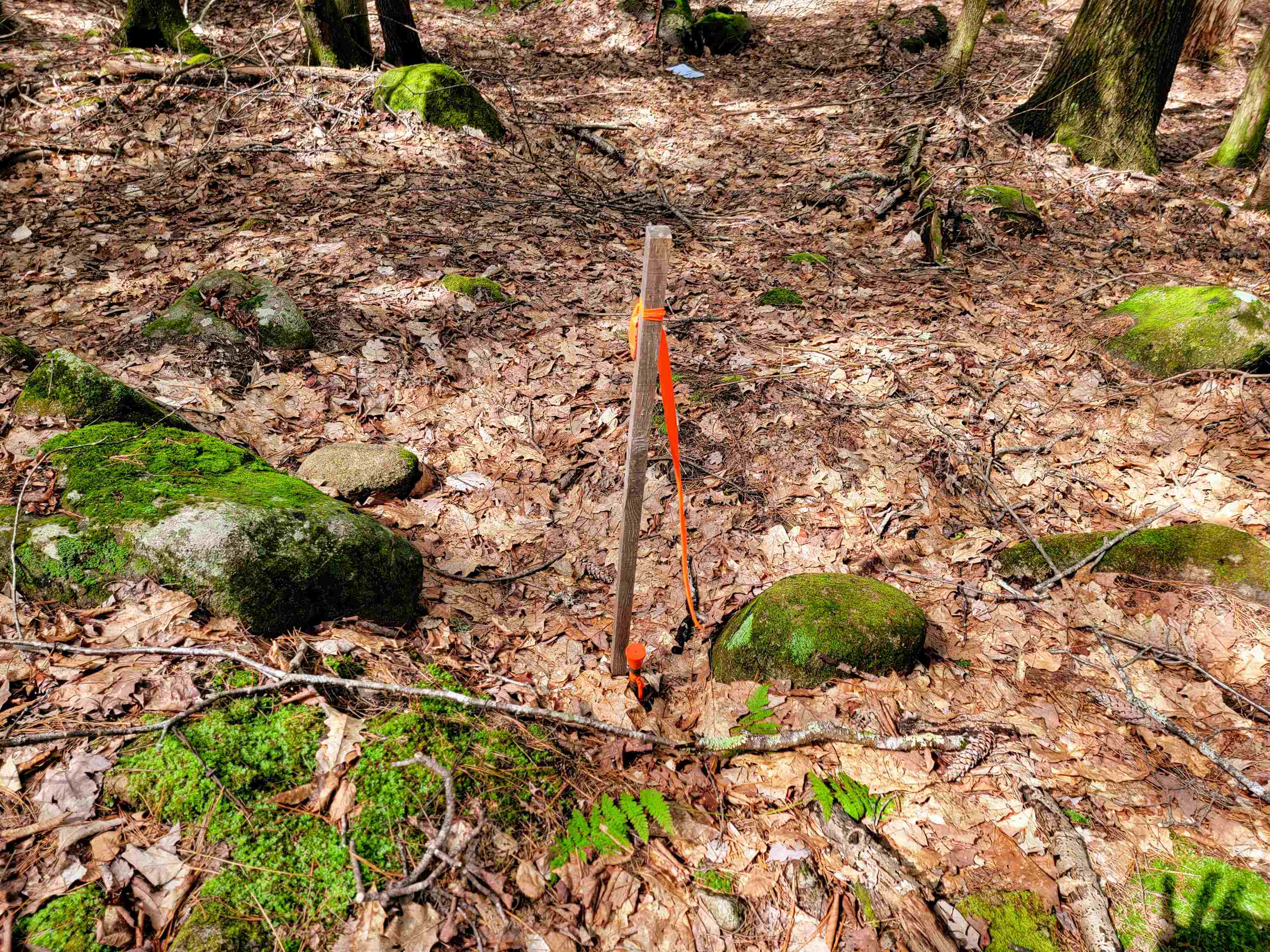 84 Hemp Hill Road Bristol, NH 03222 - Photo 19 of 40