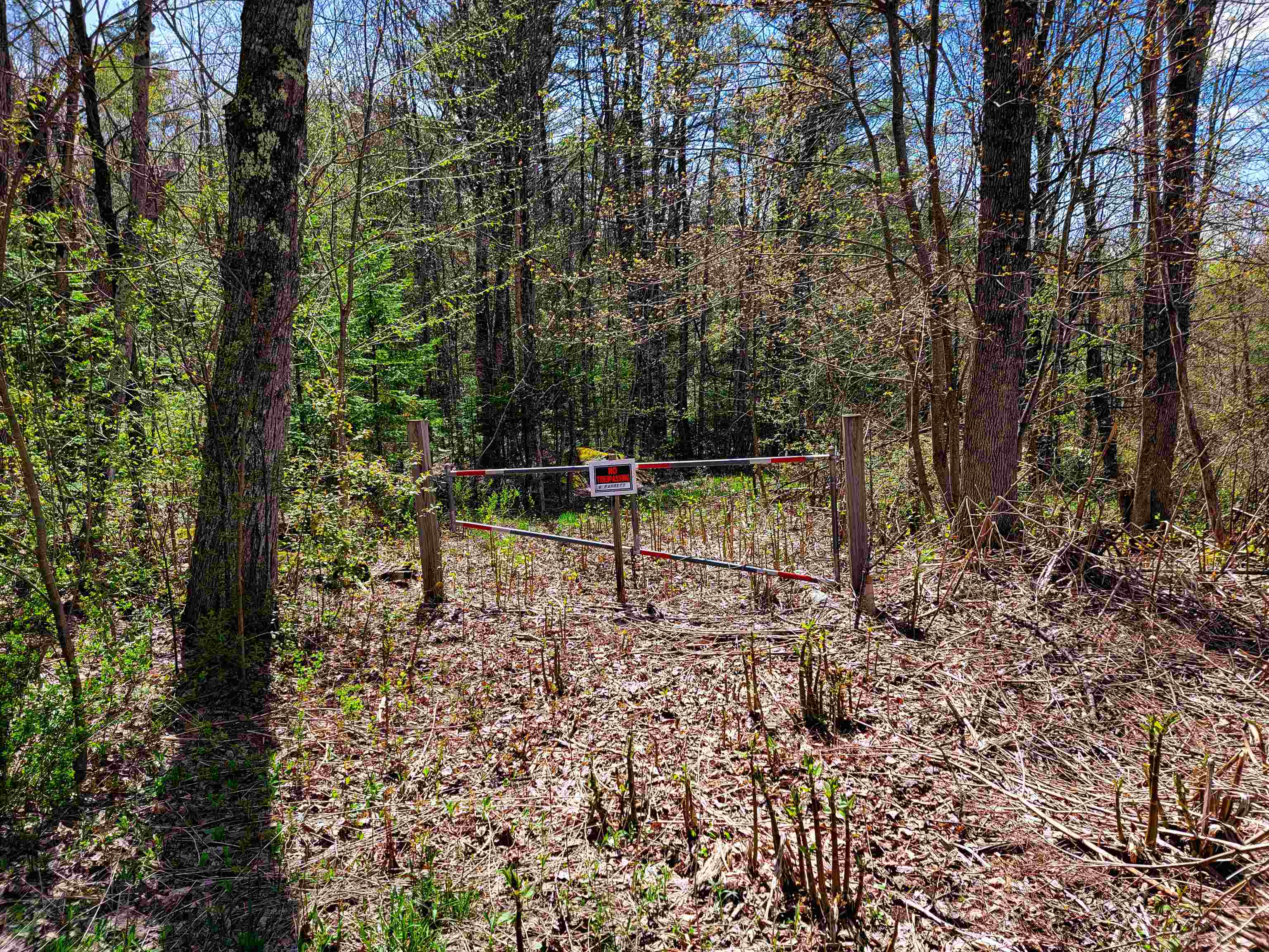 84 Hemp Hill Road Bristol, NH 03222 - Photo 20 of 40