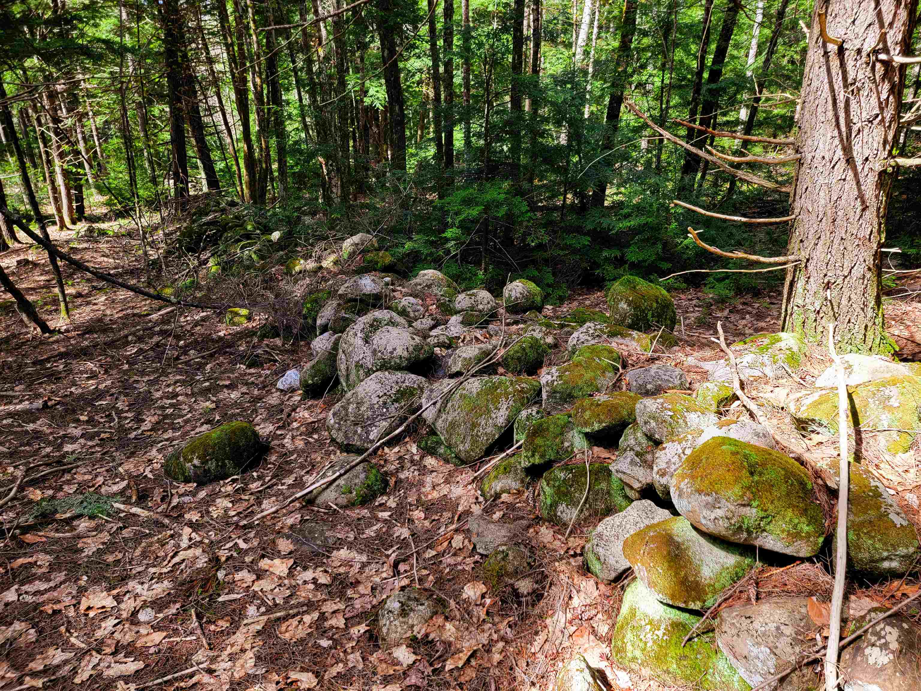 84 Hemp Hill Road Bristol, NH 03222 - Photo 21 of 40