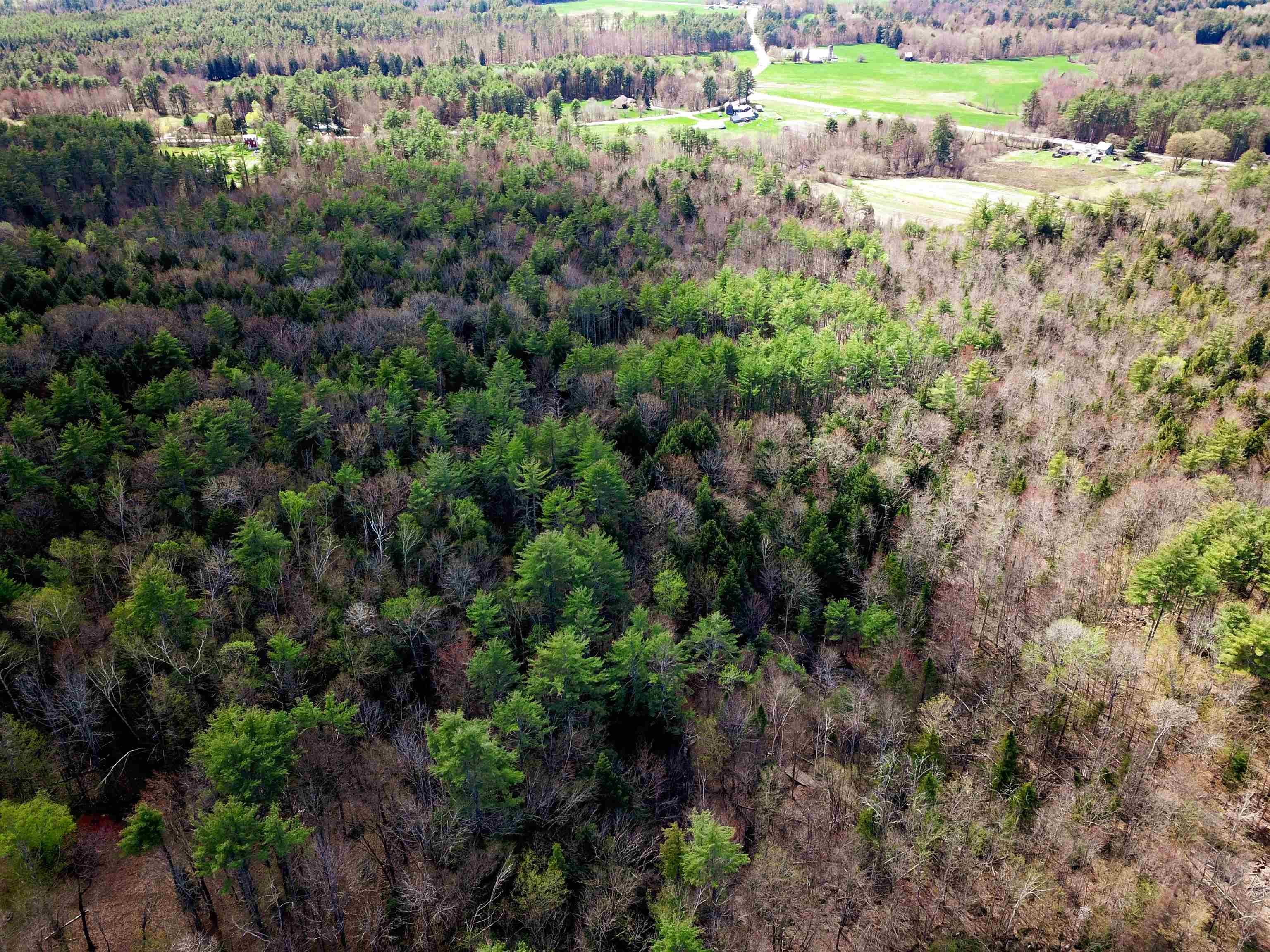 84 Hemp Hill Road Bristol, NH 03222 - Photo 23 of 40