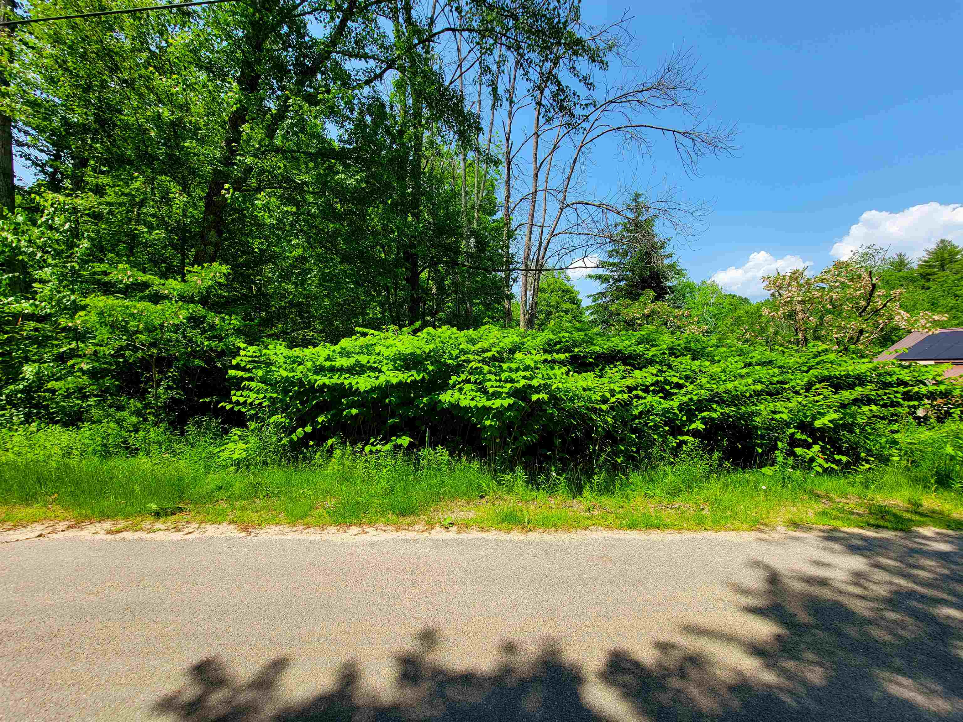 84 Hemp Hill Road Bristol, NH 03222 - Photo 30 of 40