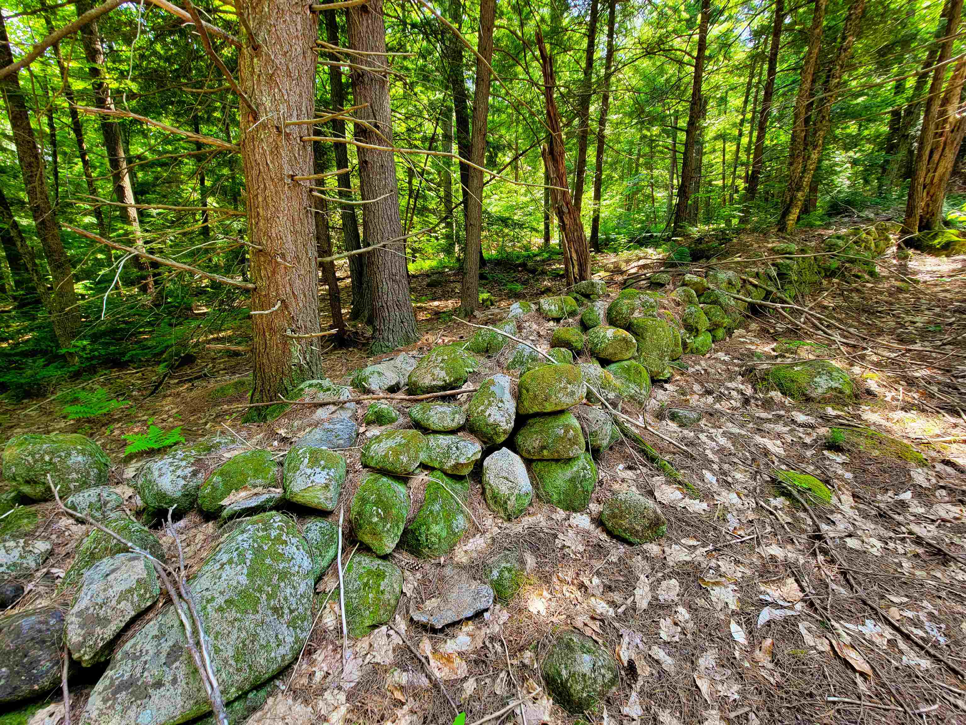 84 Hemp Hill Road Bristol, NH 03222 - Photo 3 of 40