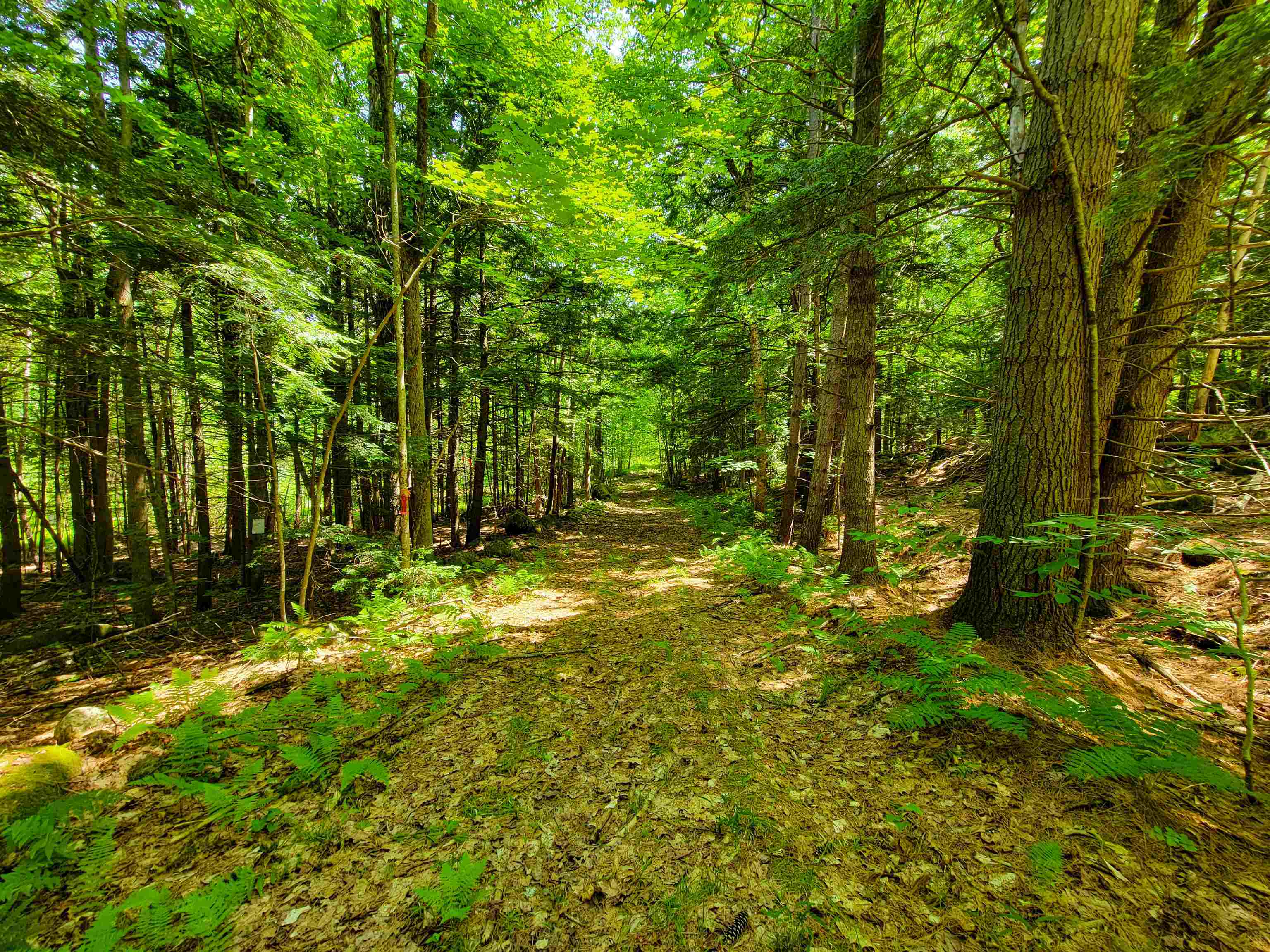 84 Hemp Hill Road Bristol, NH 03222 - Photo 32 of 40