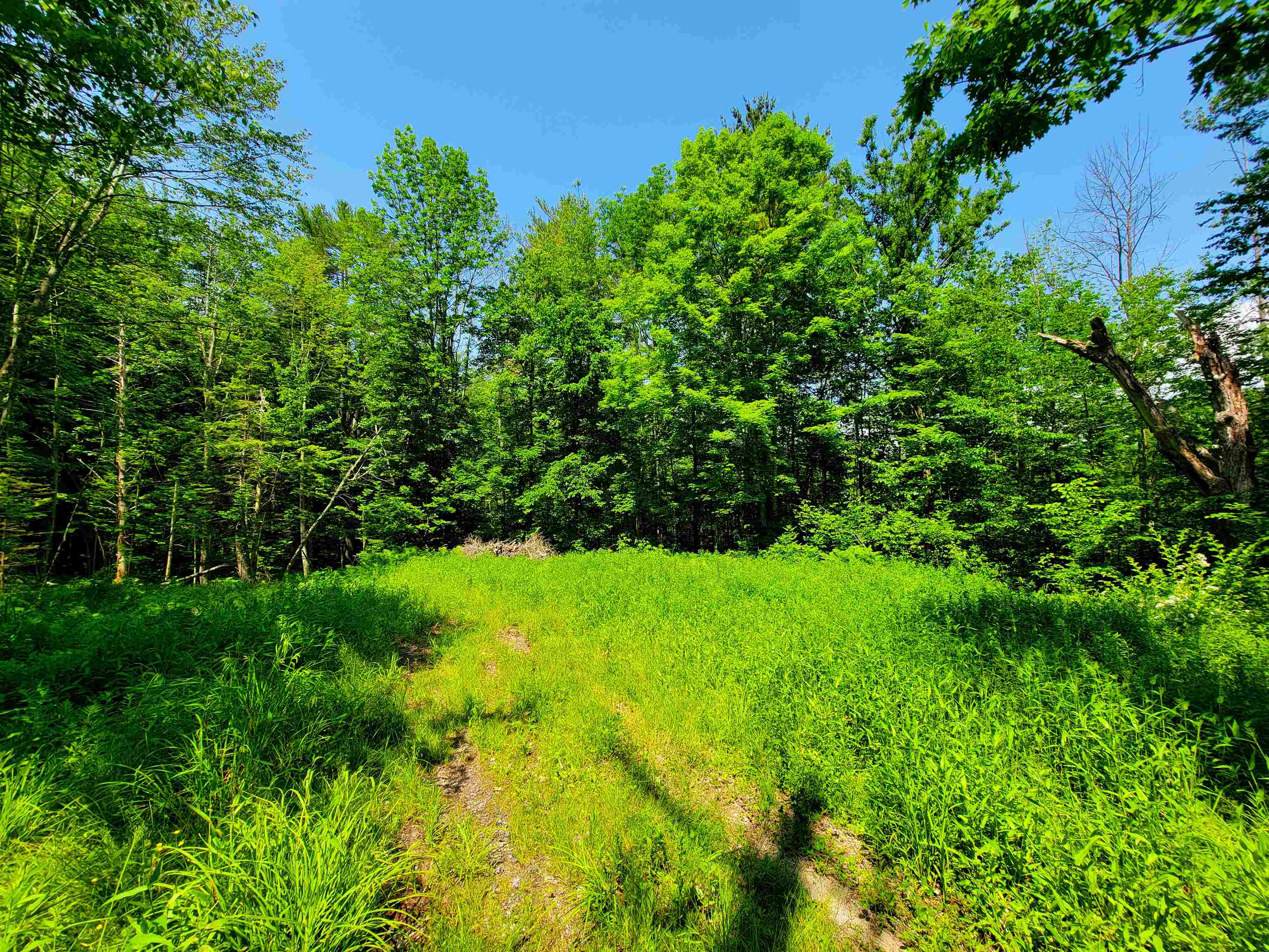 84 Hemp Hill Road Bristol, NH 03222 - Photo 36 of 40