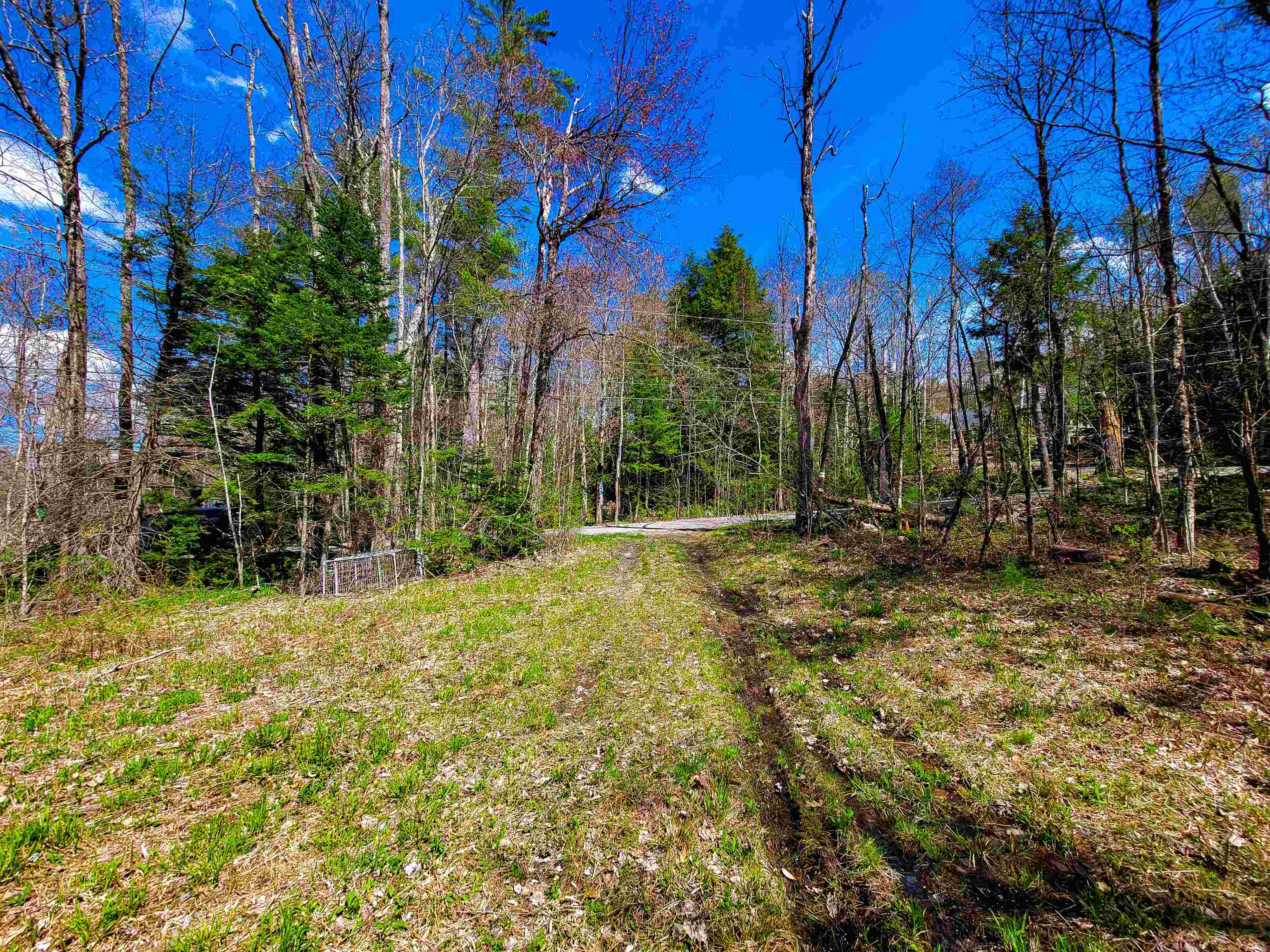 84 Hemp Hill Road Bristol, NH 03222 - Photo 37 of 40