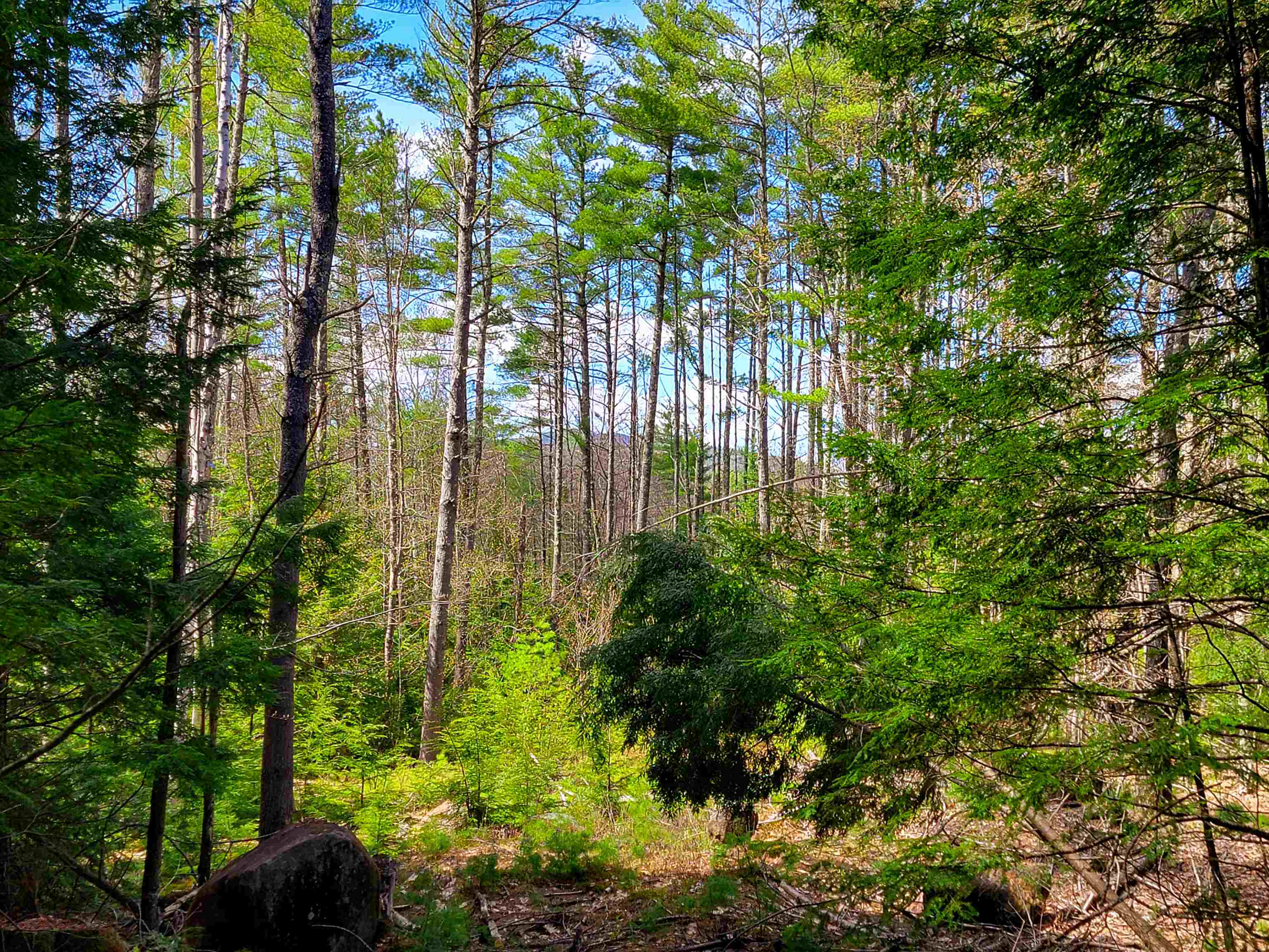 84 Hemp Hill Road Bristol, NH 03222 - Photo 39 of 40