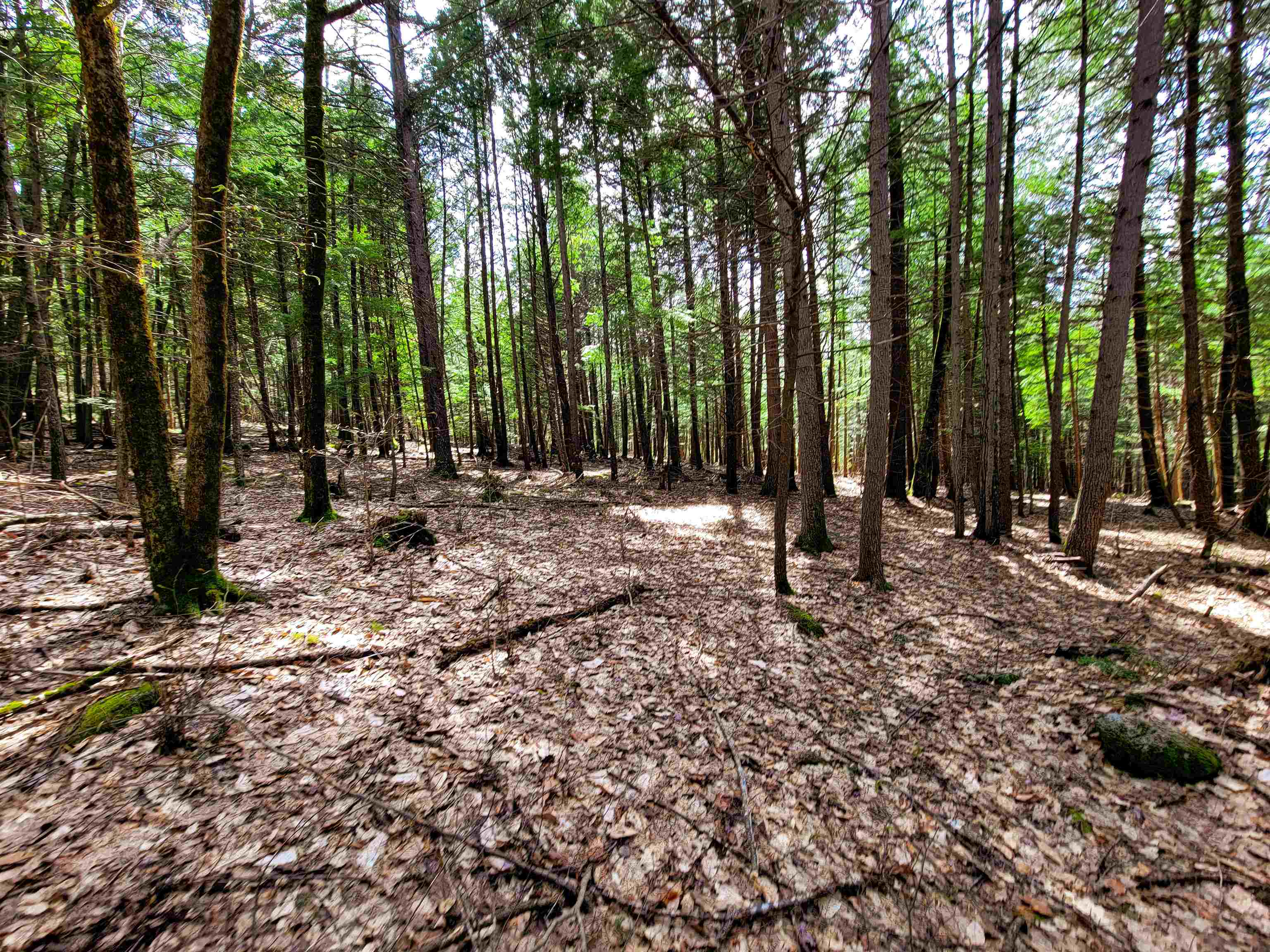 84 Hemp Hill Road Bristol, NH 03222 - Photo 4 of 40