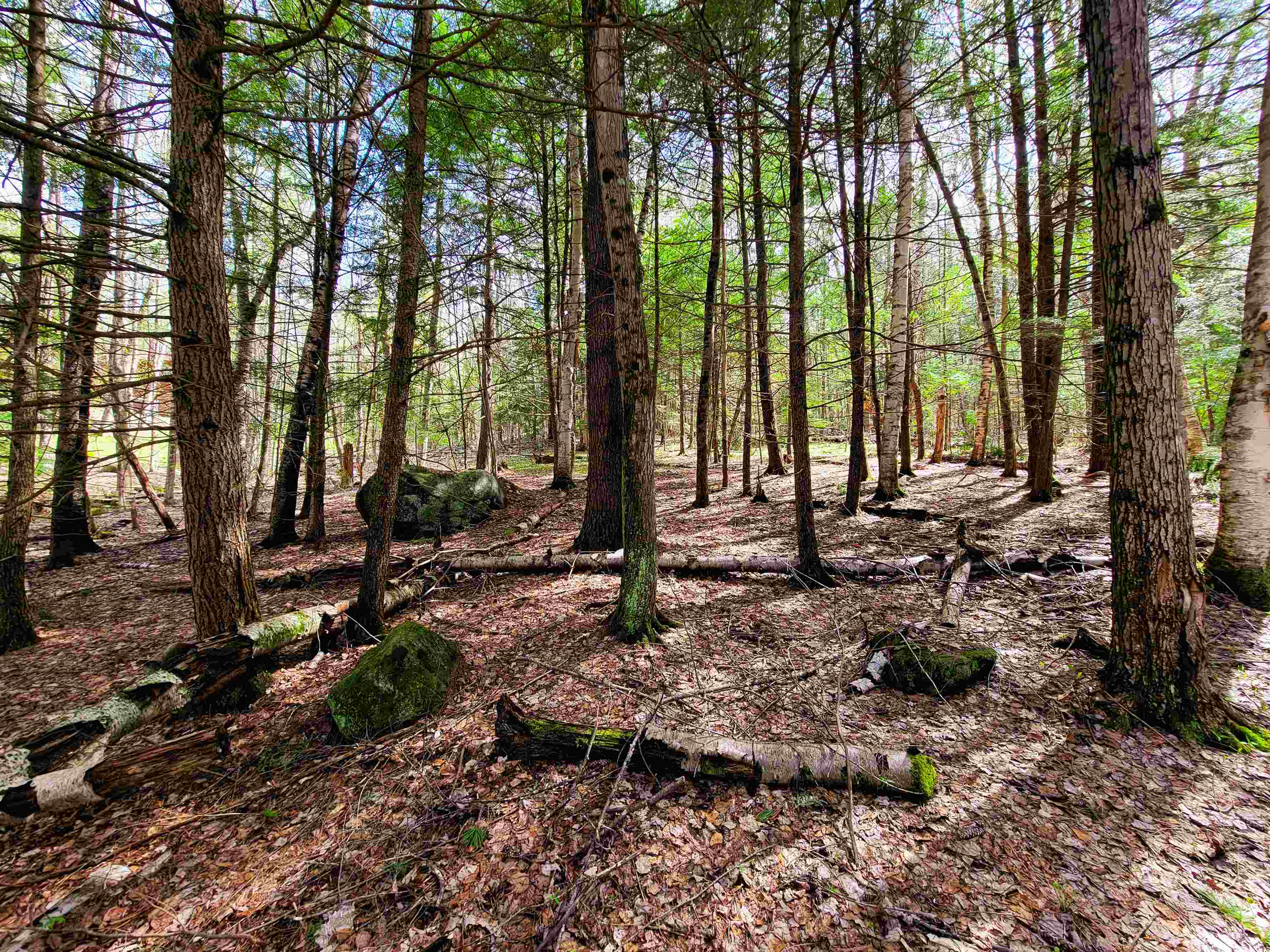 84 Hemp Hill Road Bristol, NH 03222 - Photo 5 of 40