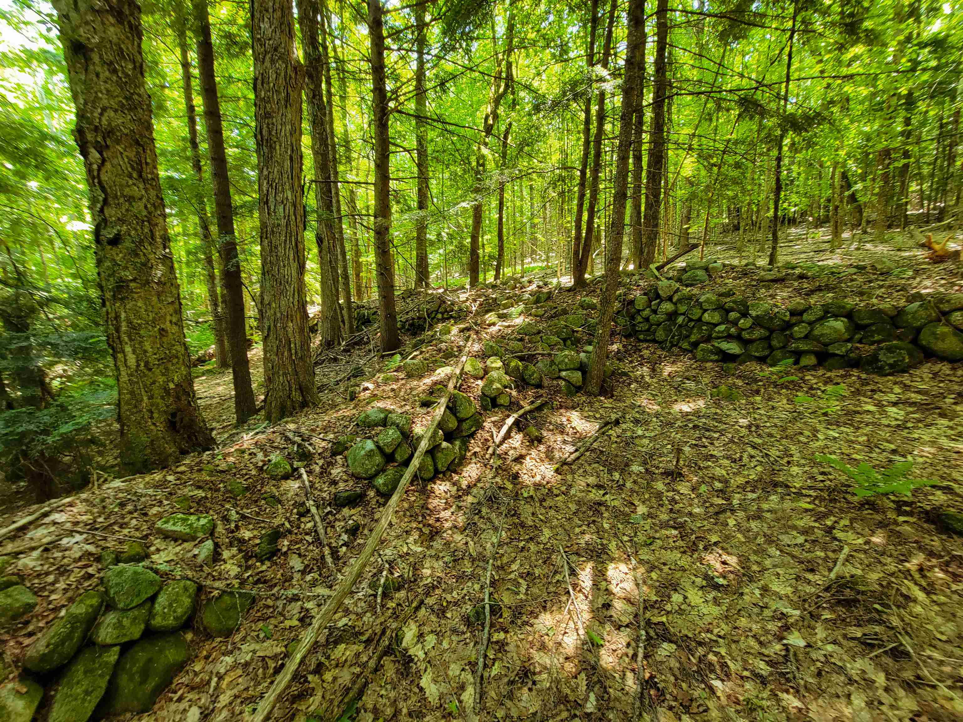 84 Hemp Hill Road Bristol, NH 03222 - Photo 6 of 40